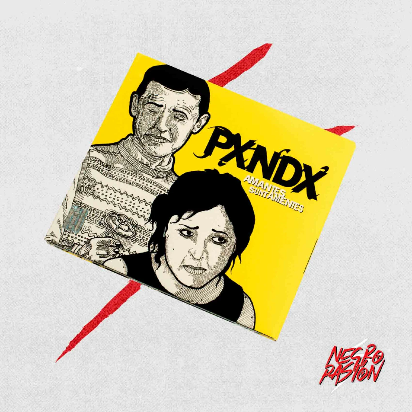 Disco - PXNDX - Amantes Sunt Amentes