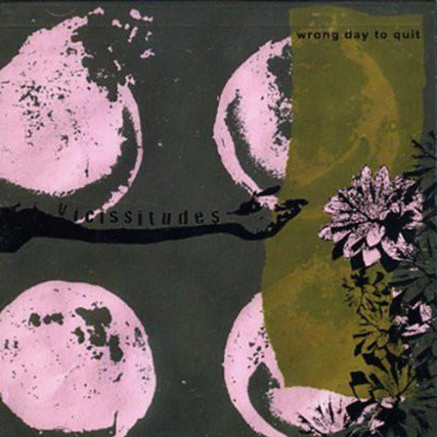 Wrong Day To Quit ‎– Vicissitudes CD