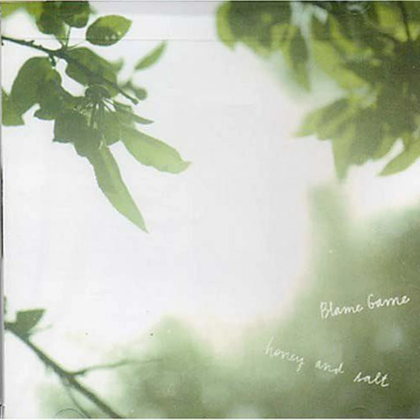 Blame Game ‎– Honey And Salt cd