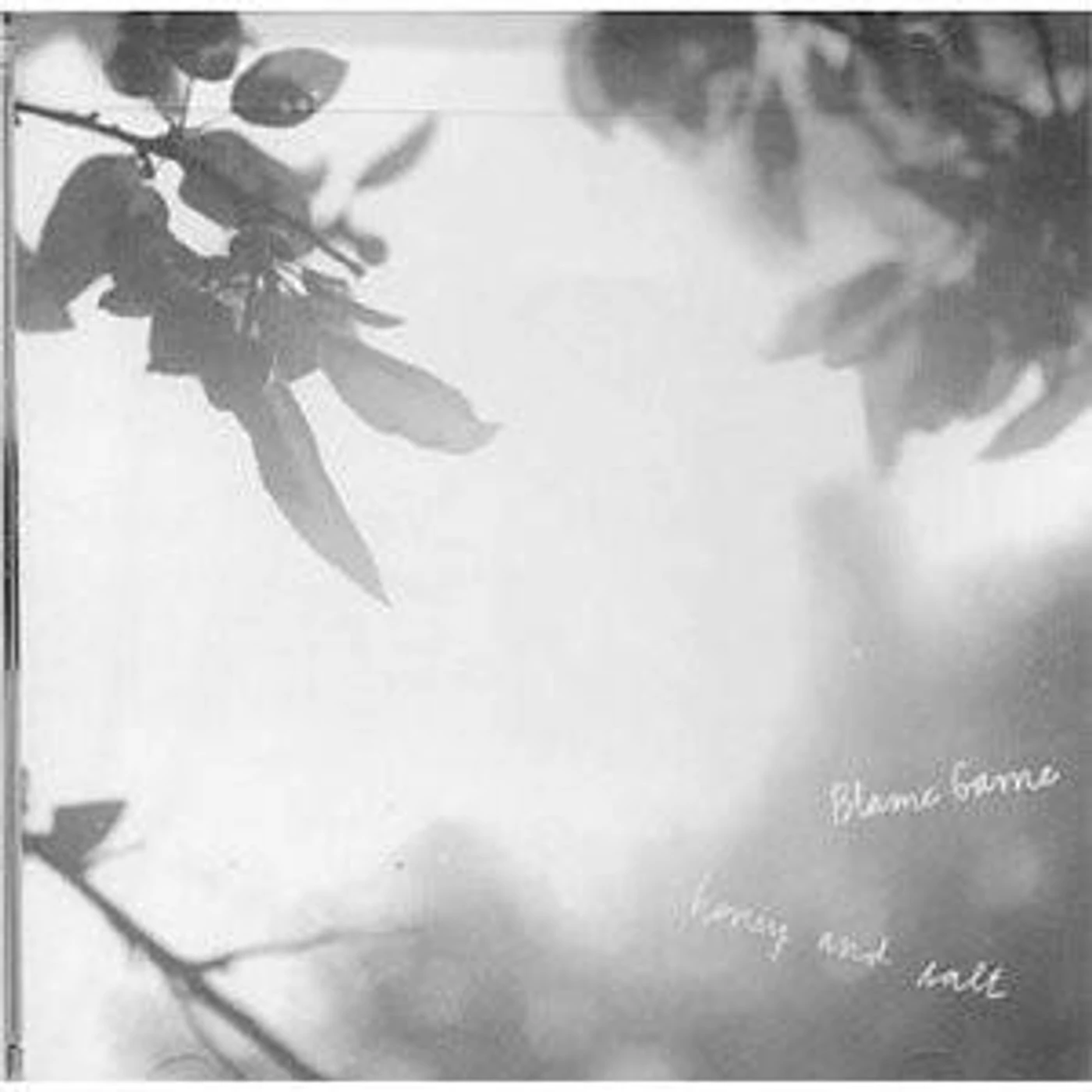 Blame Game ‎– Honey And Salt lp (Vinyl)