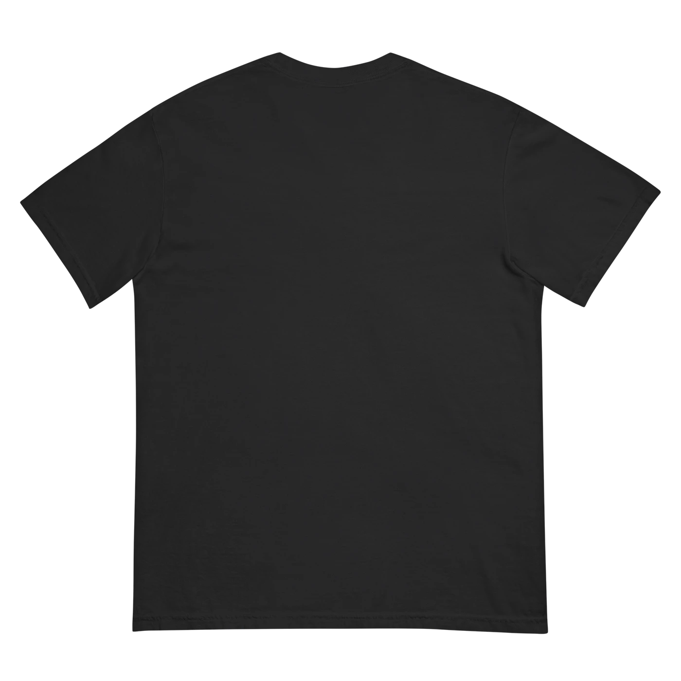 Rodrigo y Gabriela Evergreen T-Shirt