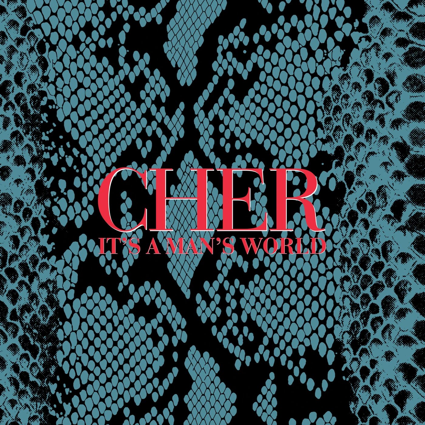 Cher It’s A Man’s World (Deluxe Edition) (2CD)