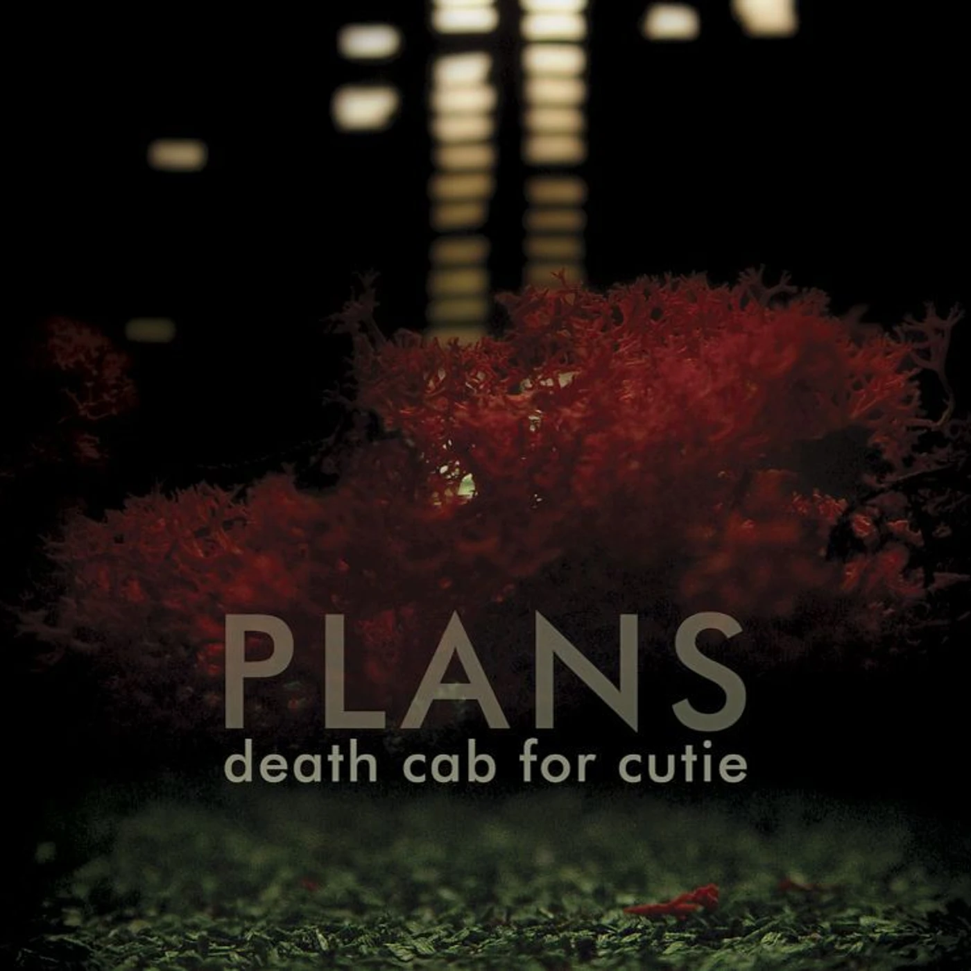 Death Cab for Cutie Plans (CD)