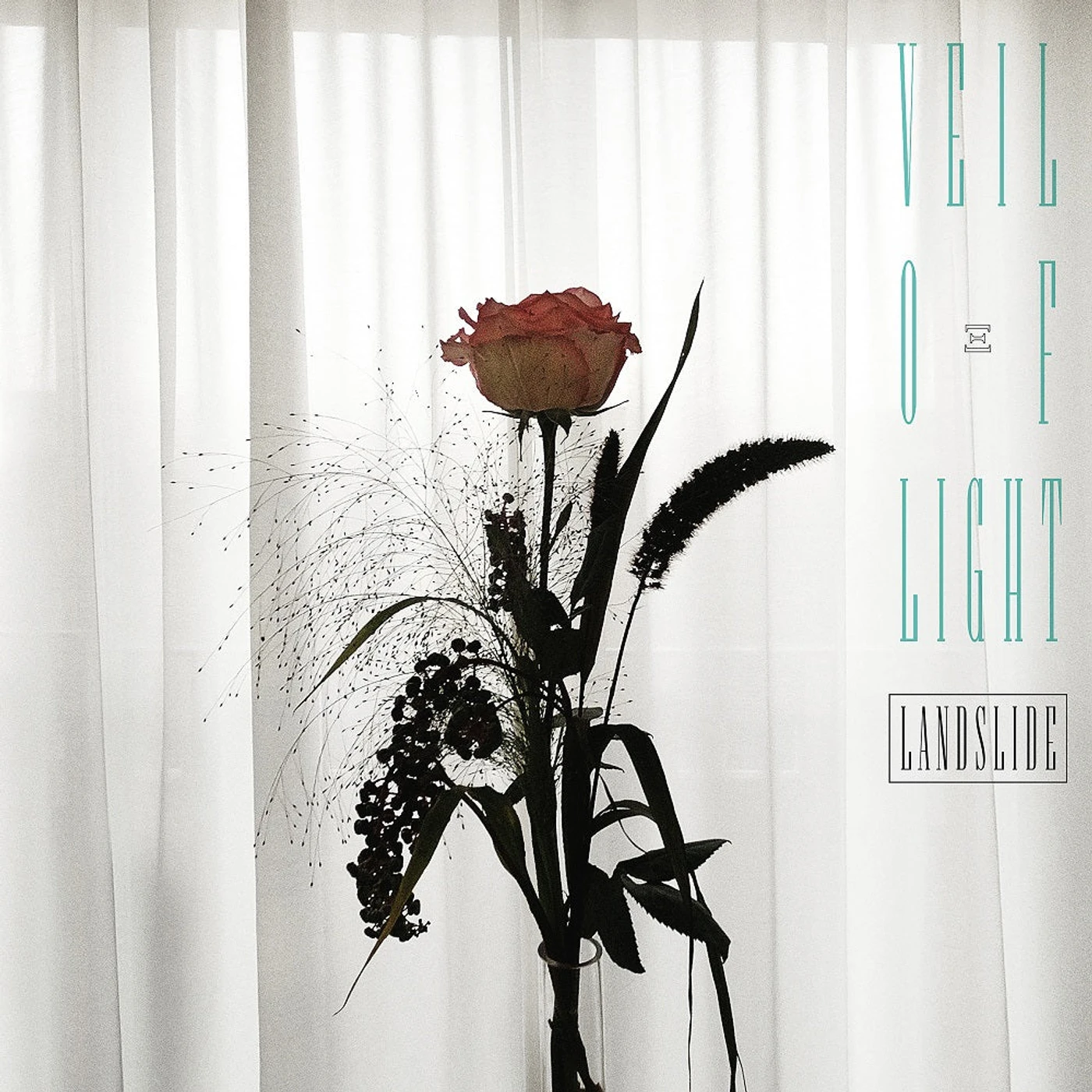Veil Of Light 'Landslide' Vinyl LP Vinyl Record