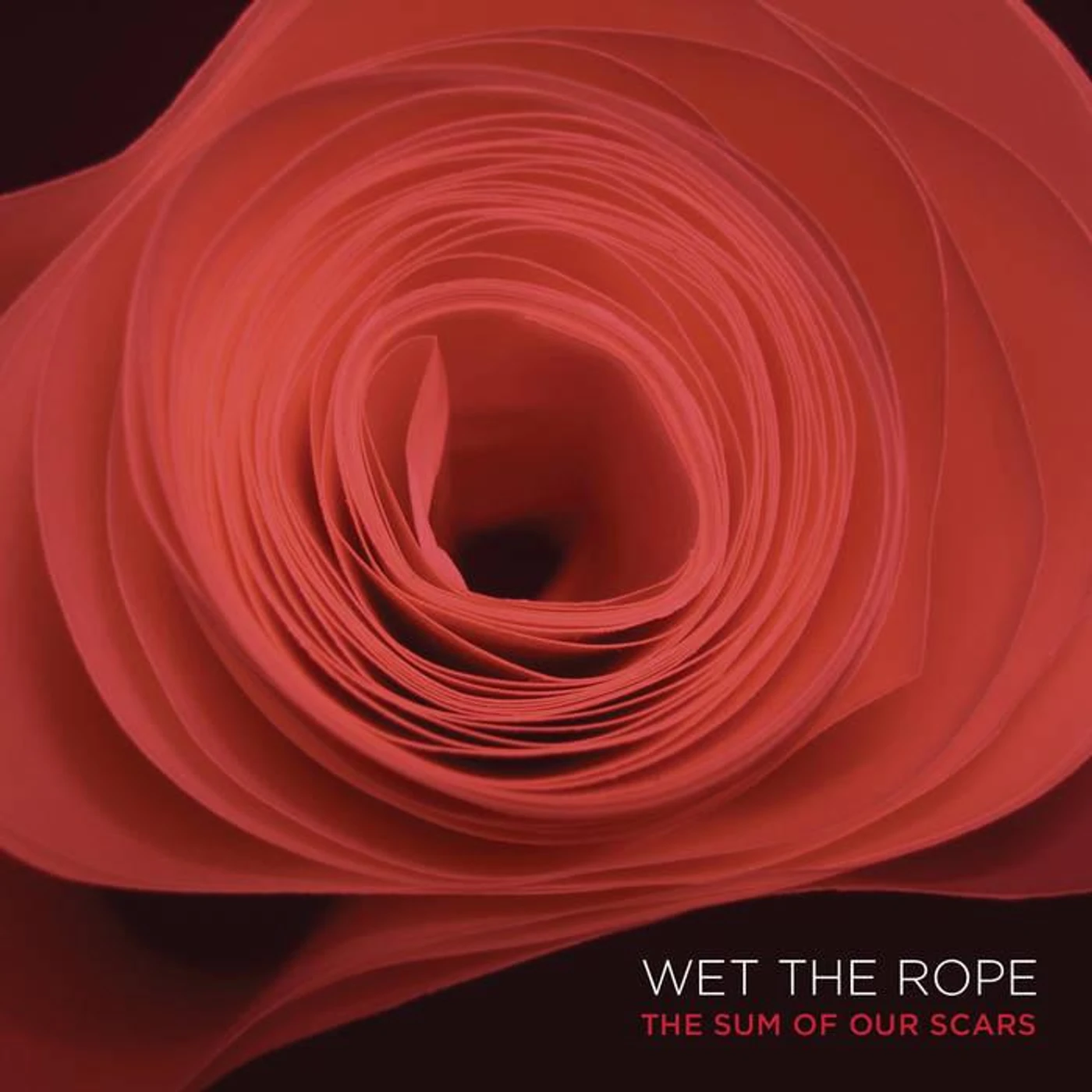 Wet The Rope 'The Sum Of Our Scars' Vinyl Record