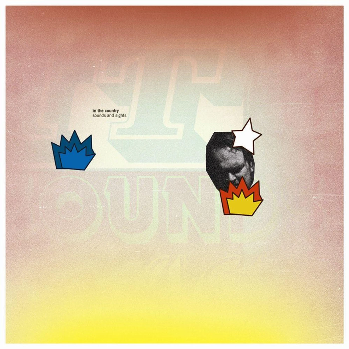 In The Country 'Sounds And Sights' Vinyl Record