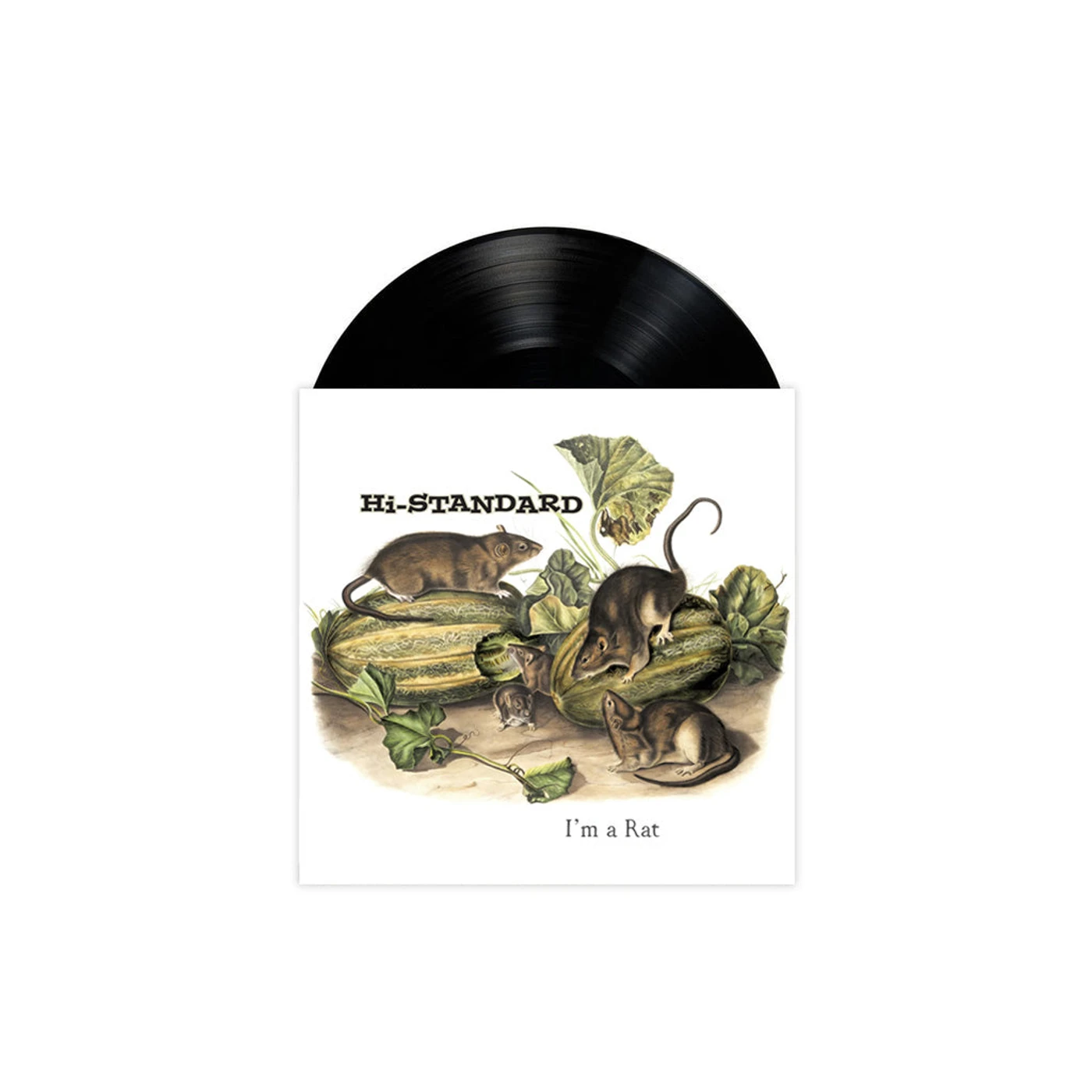 Hi-STANDARD I'm a Rat 7" (Picture Disc Vinyl)