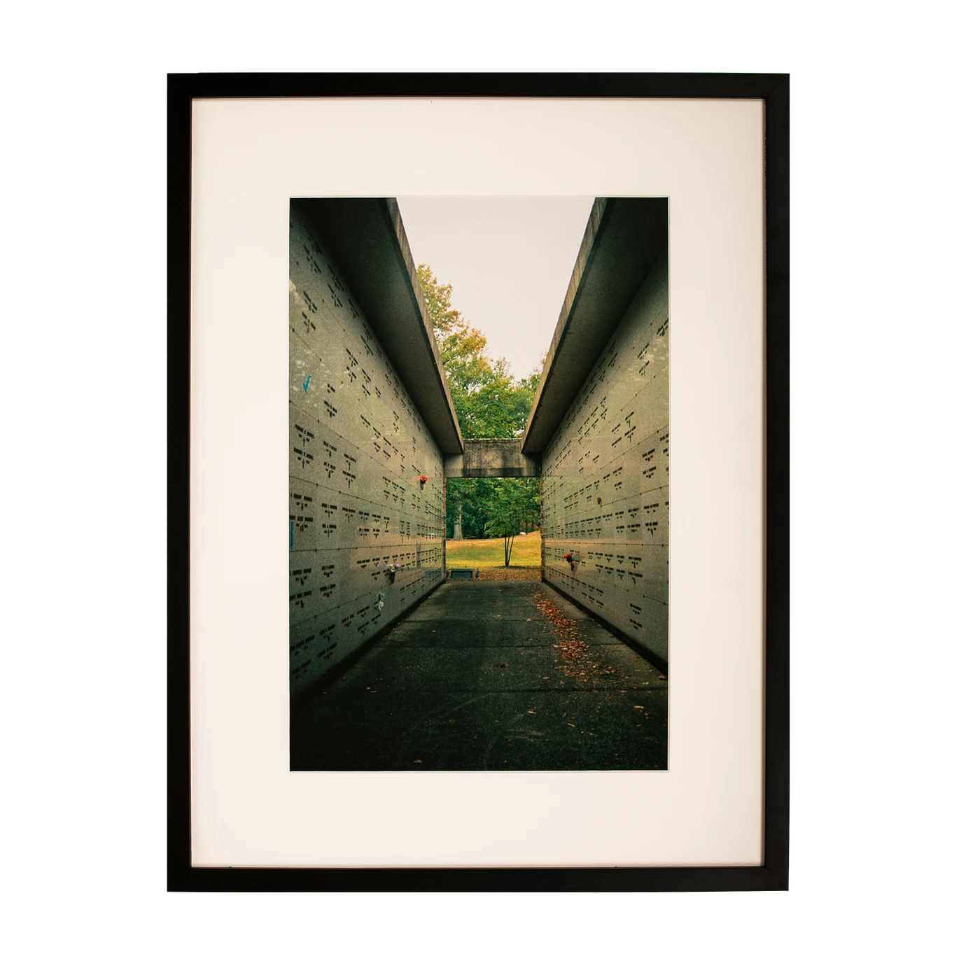 Kevin Morby | Masseluem - Framed Photo
