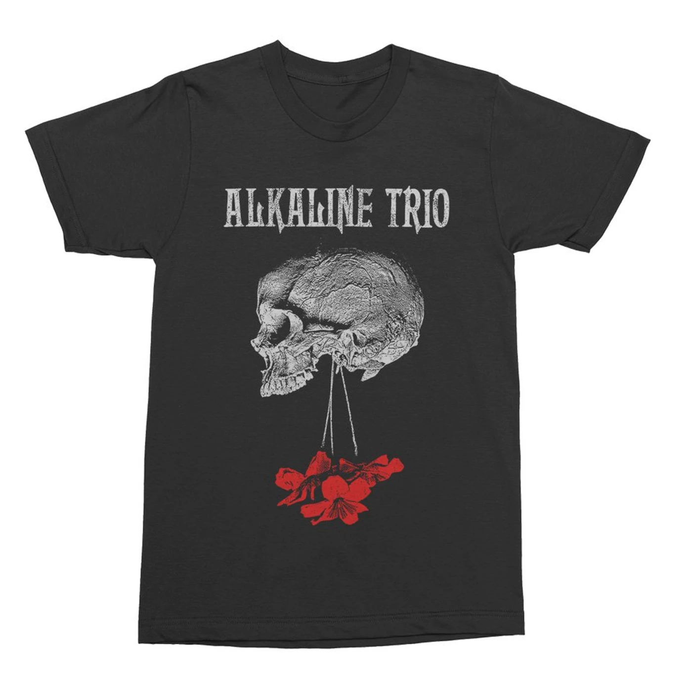 Alkaline Trio Flowers Down Tee (Black)