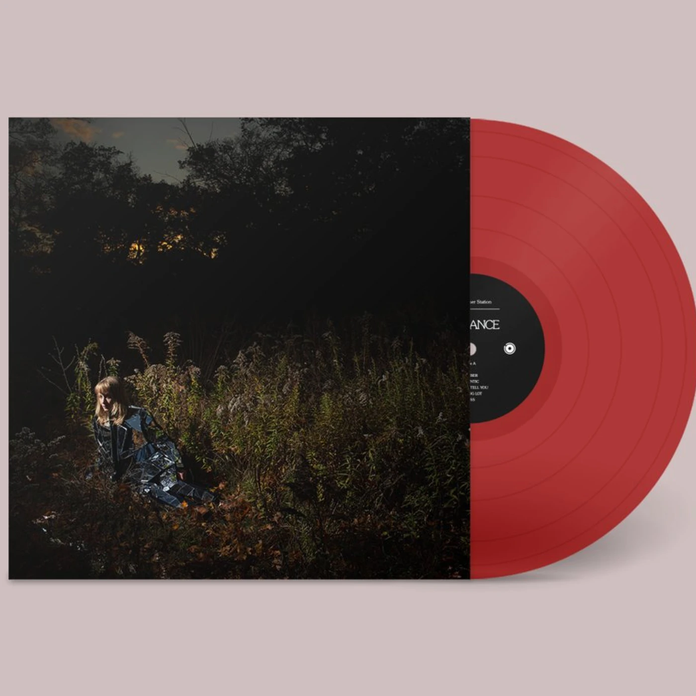 The Weather Station / Ignorance - LP Vinyl