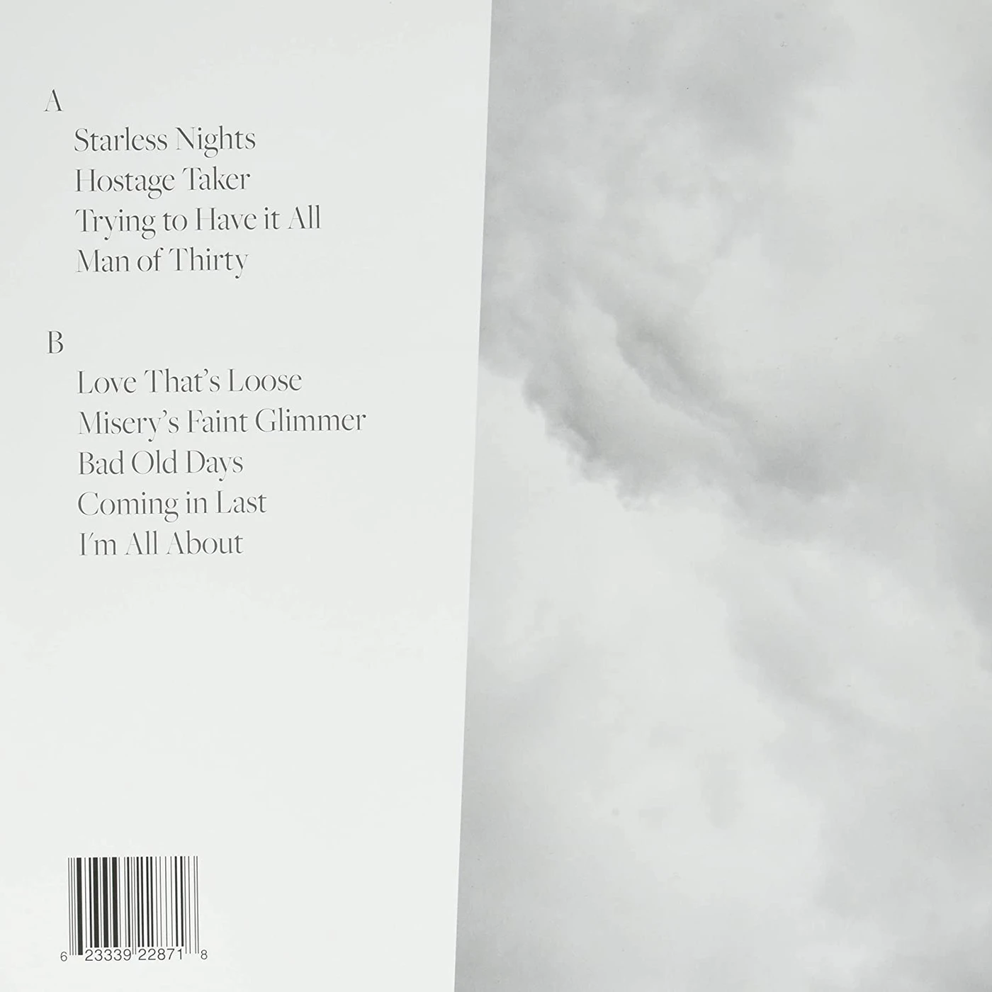 Misha Bower / Trying to Have It All - LP Vinyl