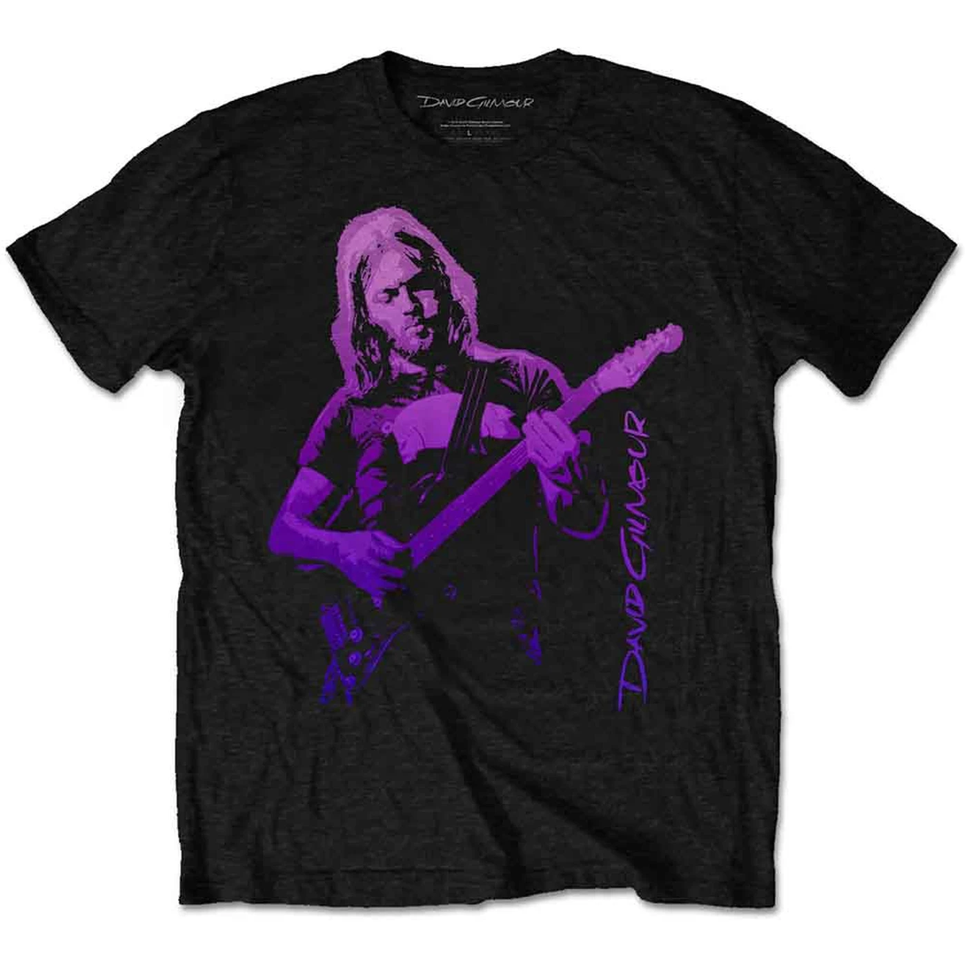 David Gilmour T Shirt - Pig Tee Gradient