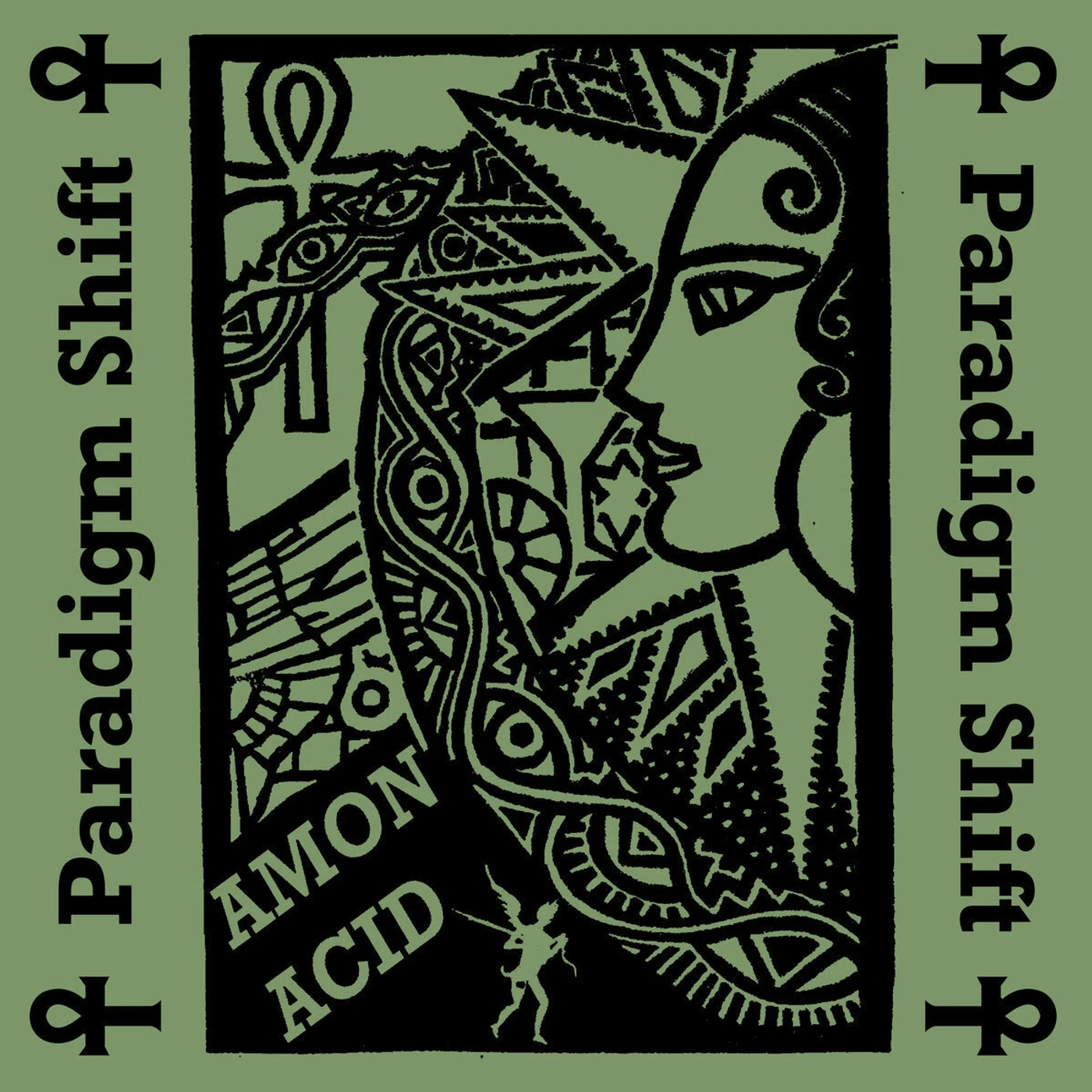 Amon Acid LP - Paradigm Shift (Vinyl)
