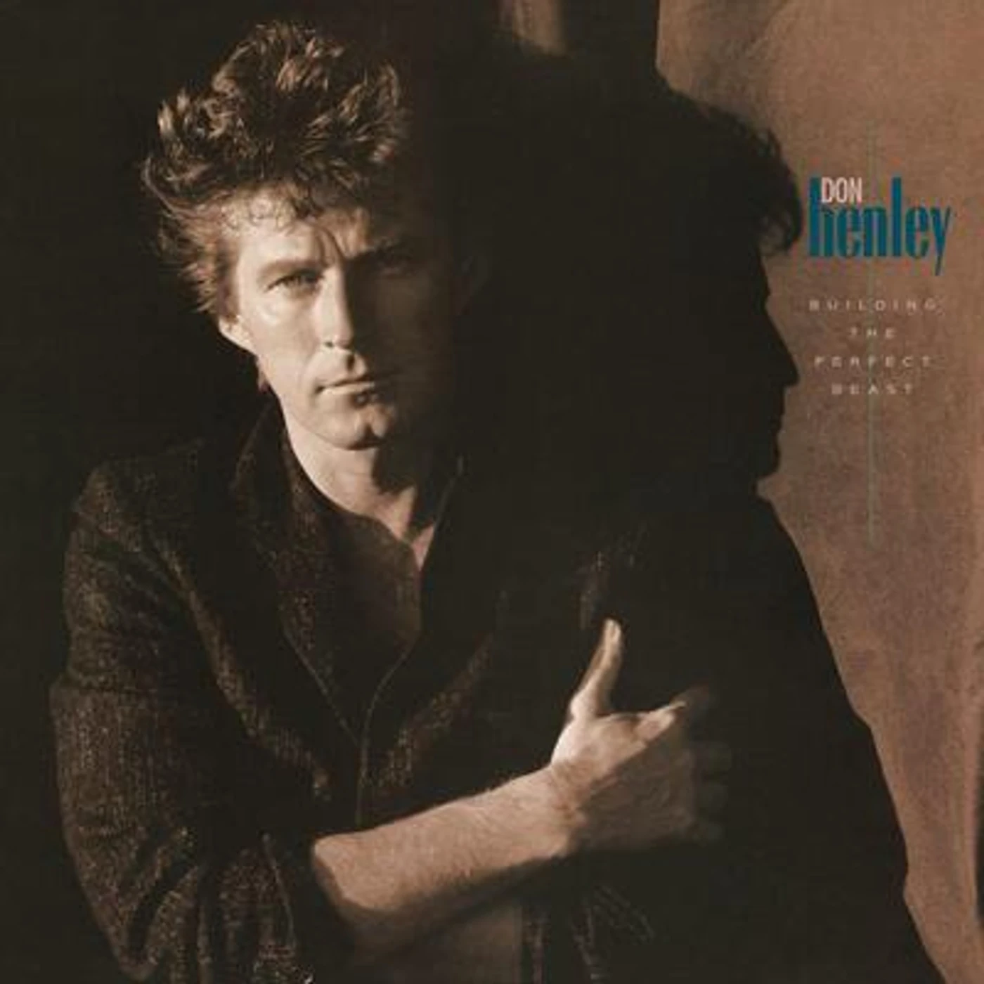 Don Henley LP - Building the Perfect Beast (Vinyl)