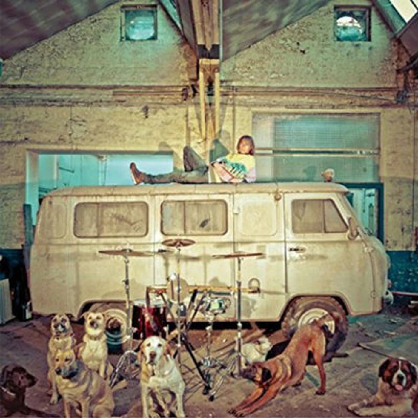 Use LP - Chien Dla Casse (Vinyl)