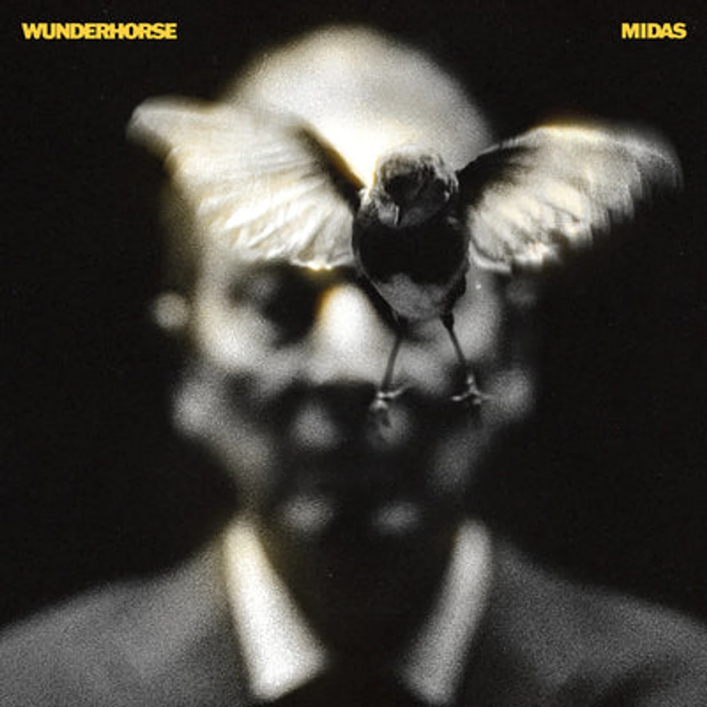 Wunderhorse LP - Midas (Vinyl)