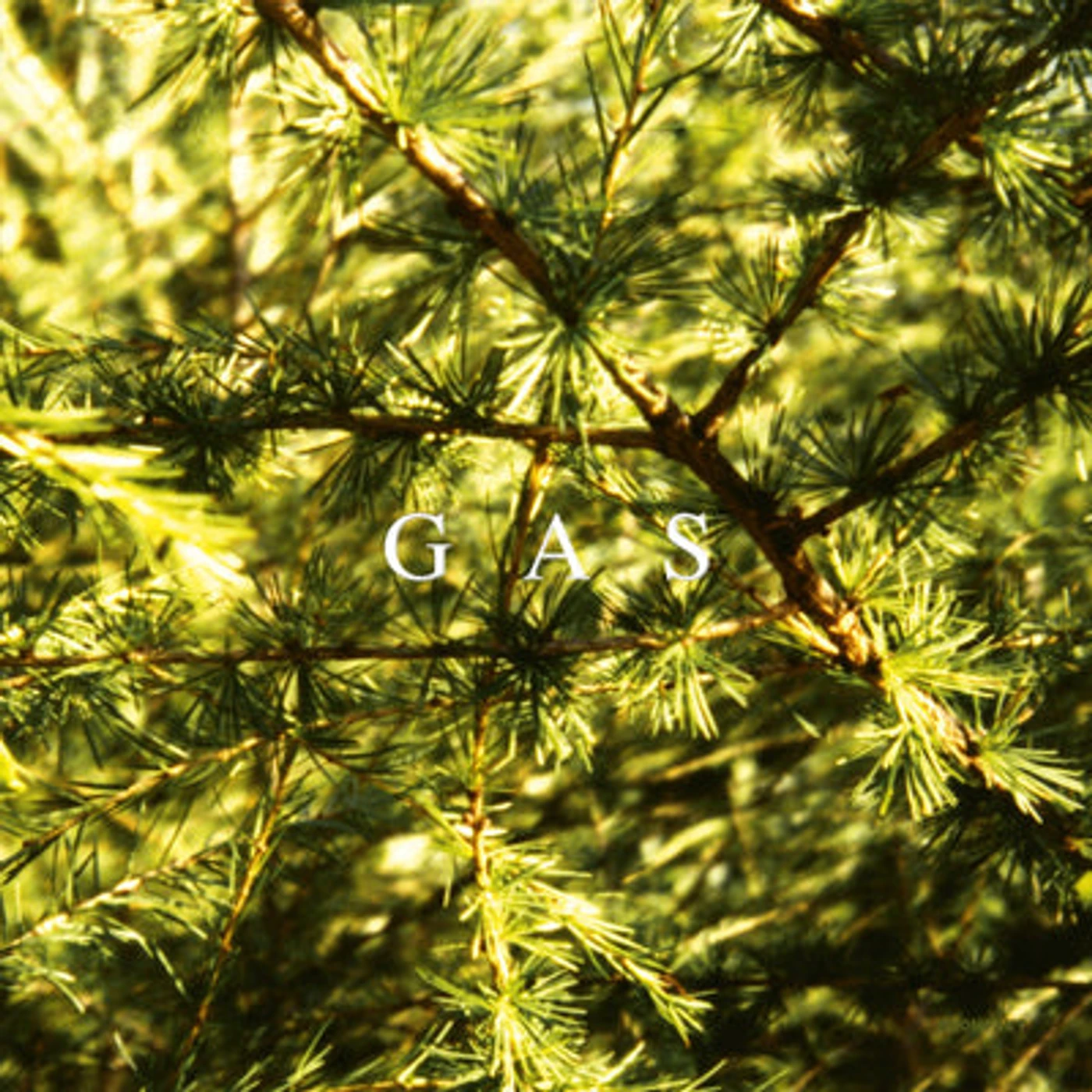 GAS LP - Pop (Vinyl)