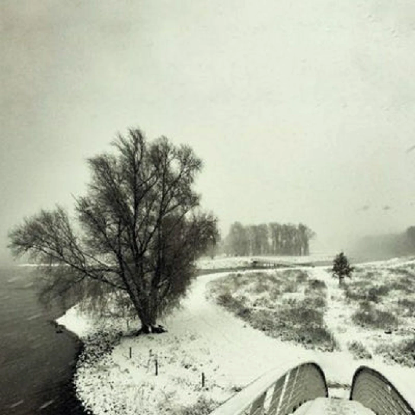 Beequeen LP - Winter (Vinyl)