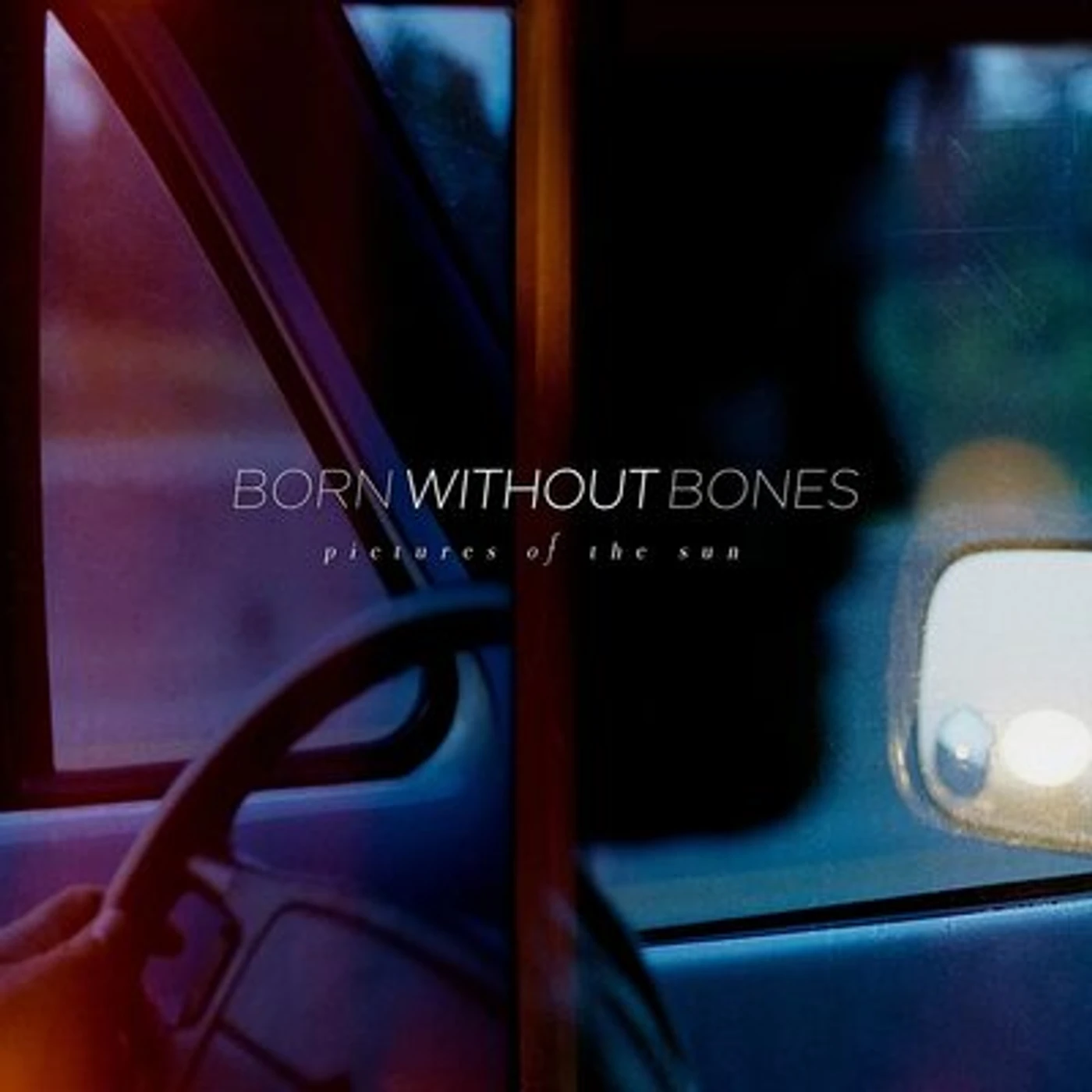 Born Without Bones LP - Pictures Of The Sun (Vinyl)