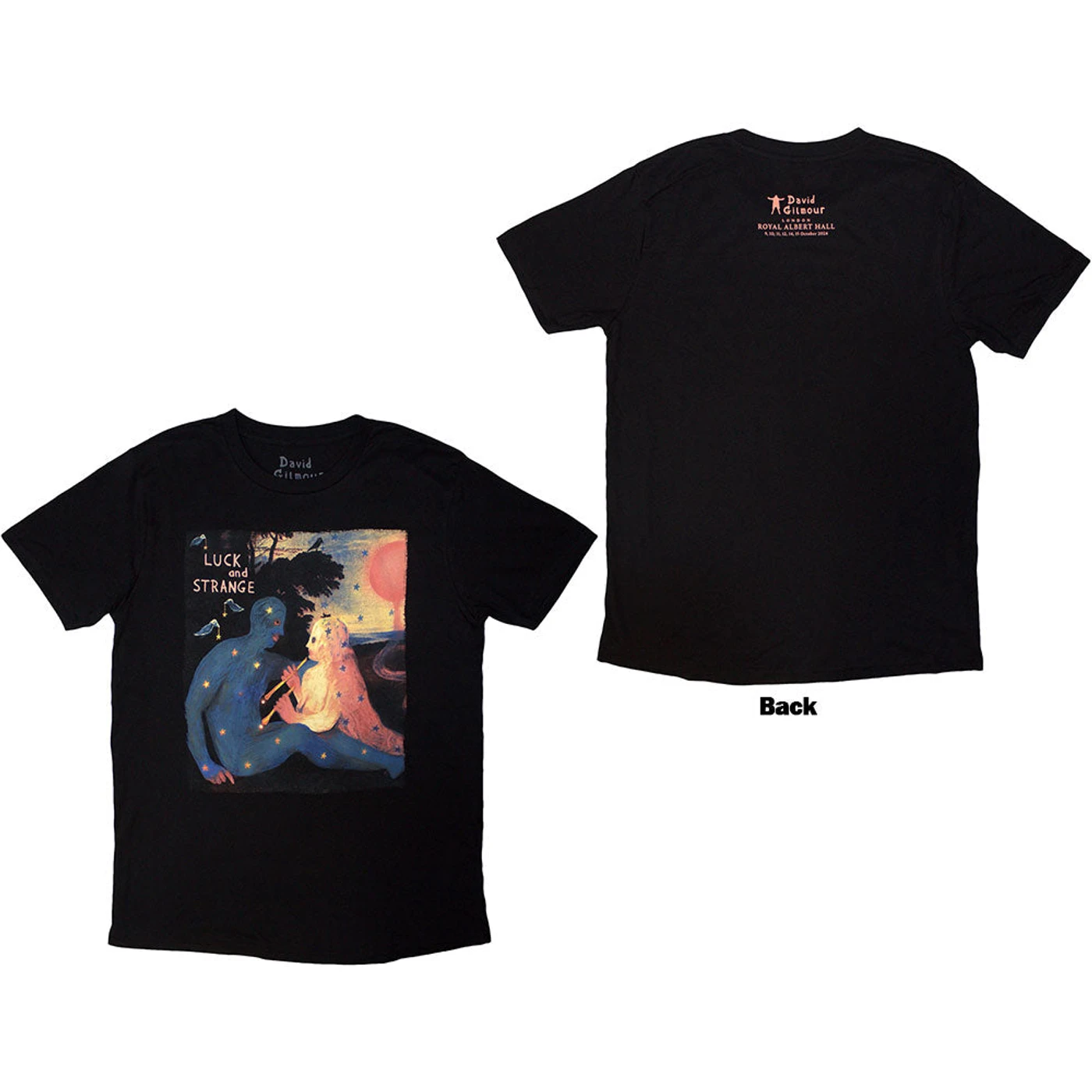 David Gilmour T Shirt - Luck & Strange London 2