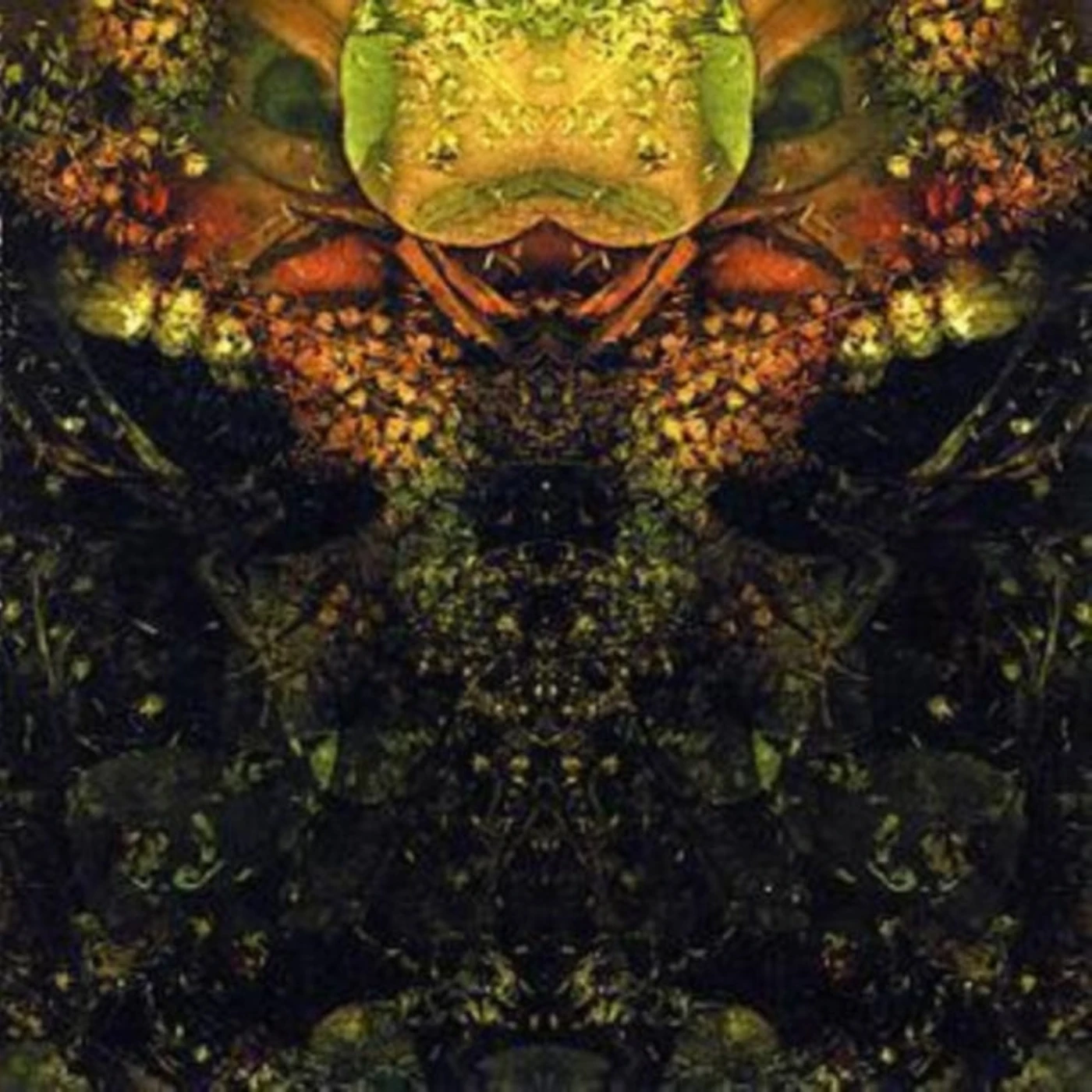 House Of Low Culture CD - Edwards Lament