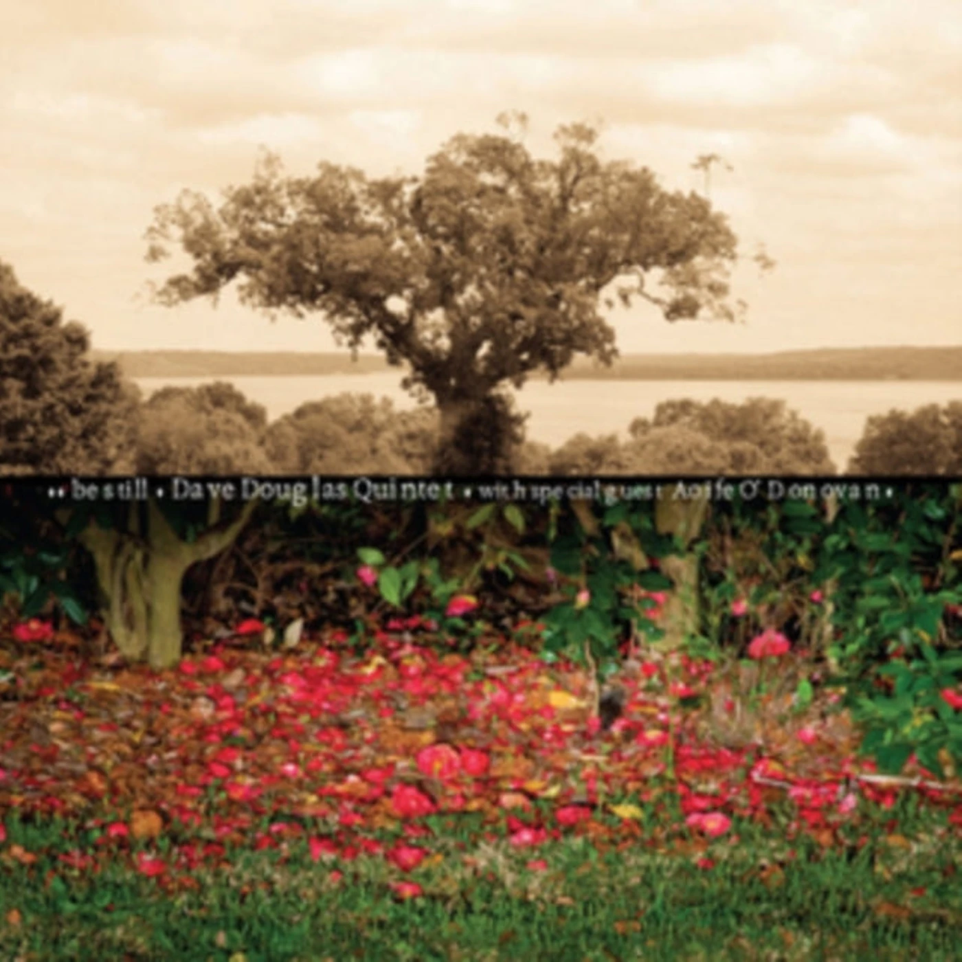 Adrian Klumpes CD - Be Still