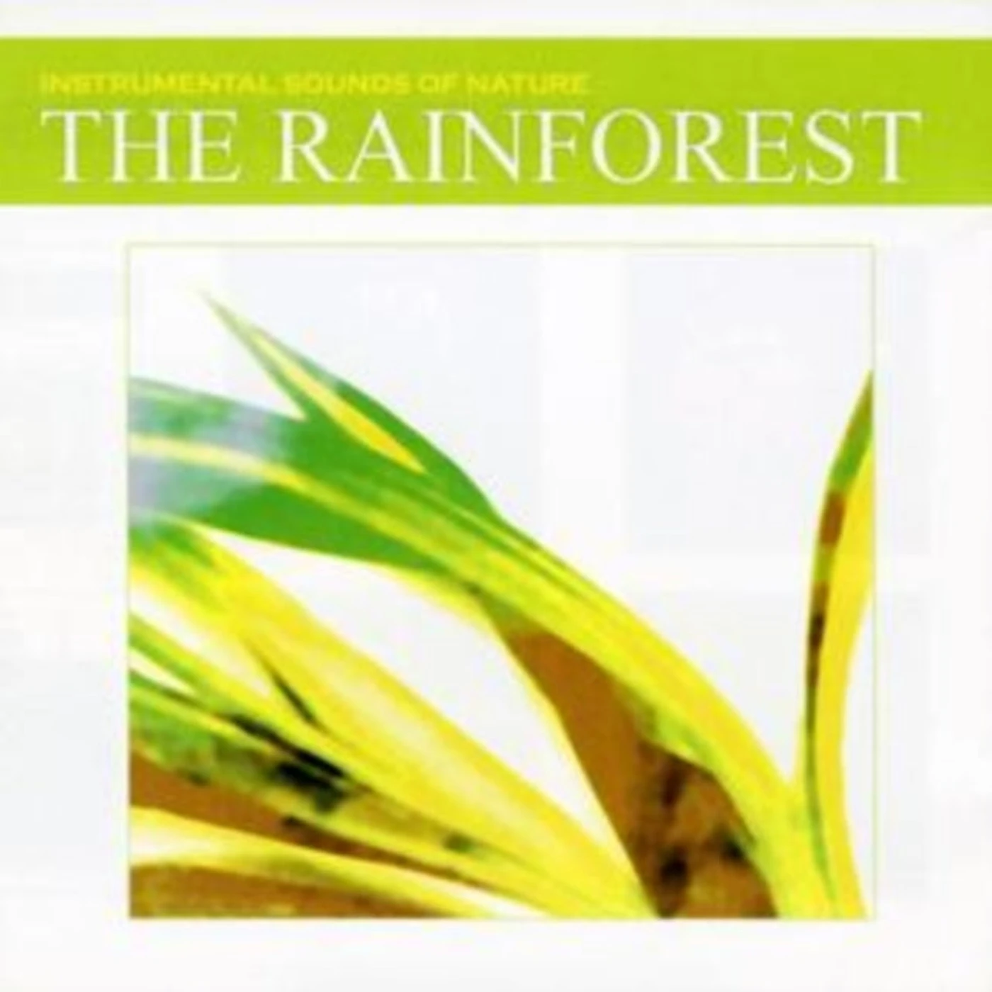 Instrumental Sounds Of Nature CD - The Rainforest