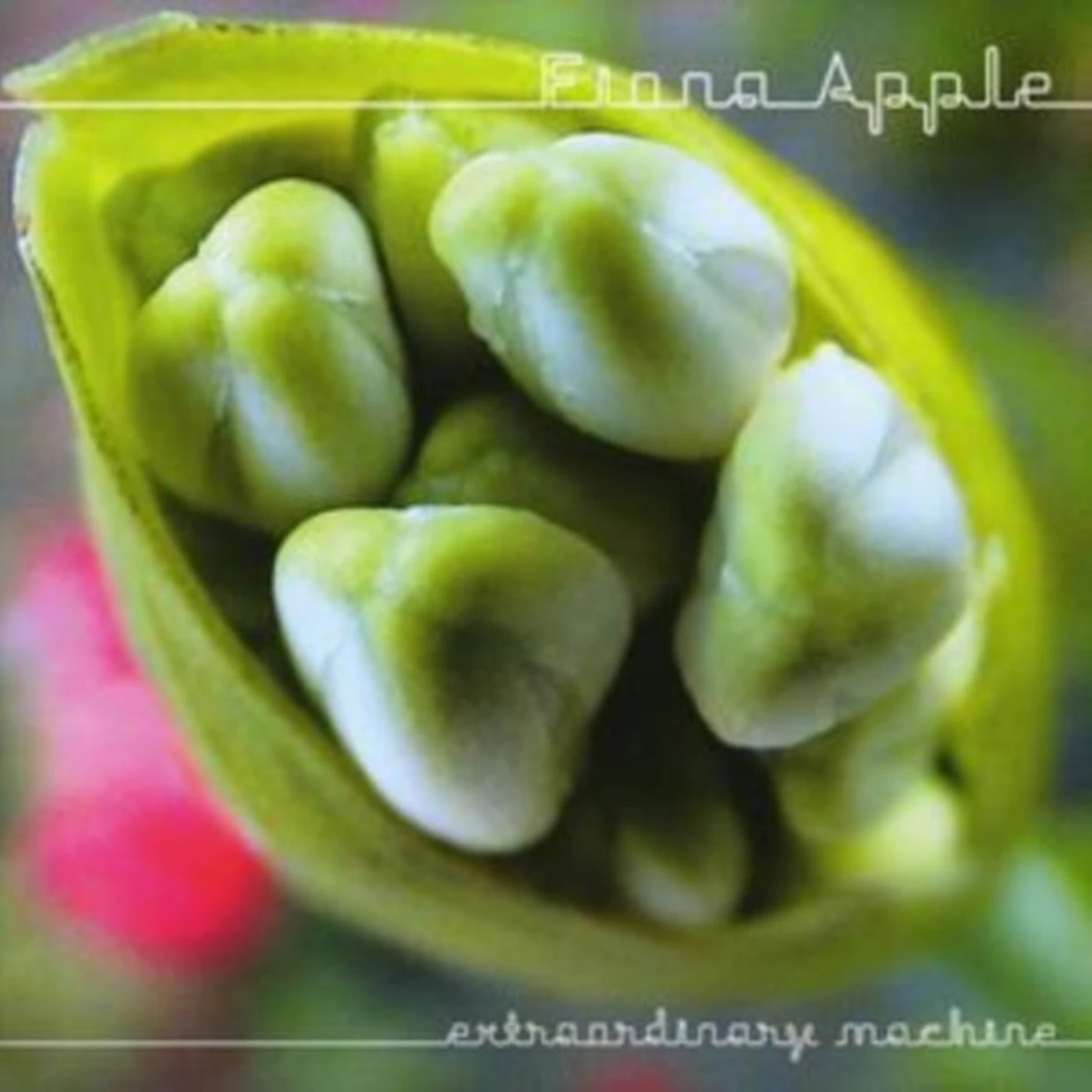 Fiona Apple CD - Extraordinary Machine