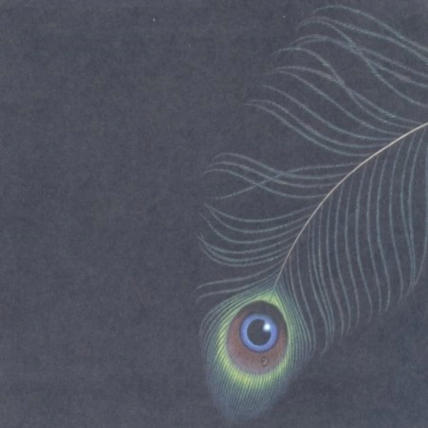 Unwed Sailor CD - Circles Ep