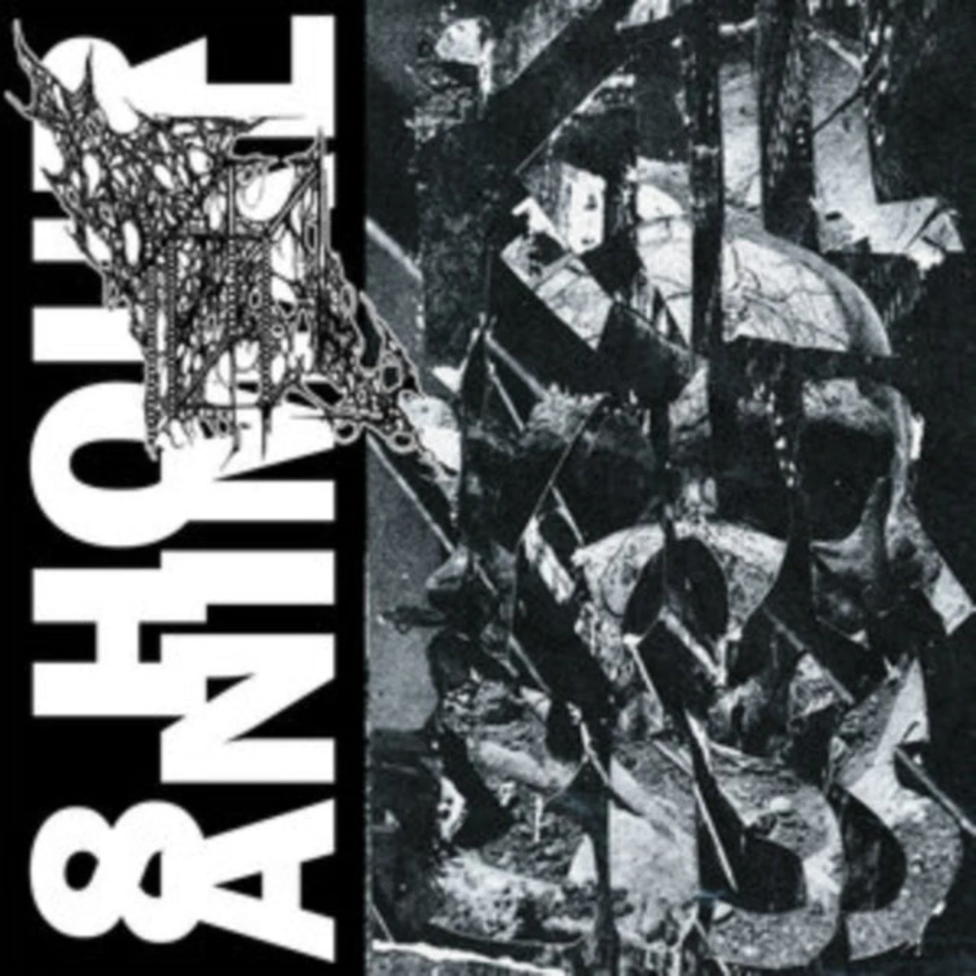 8 Hour Animal Cassette - Kill Your Boss