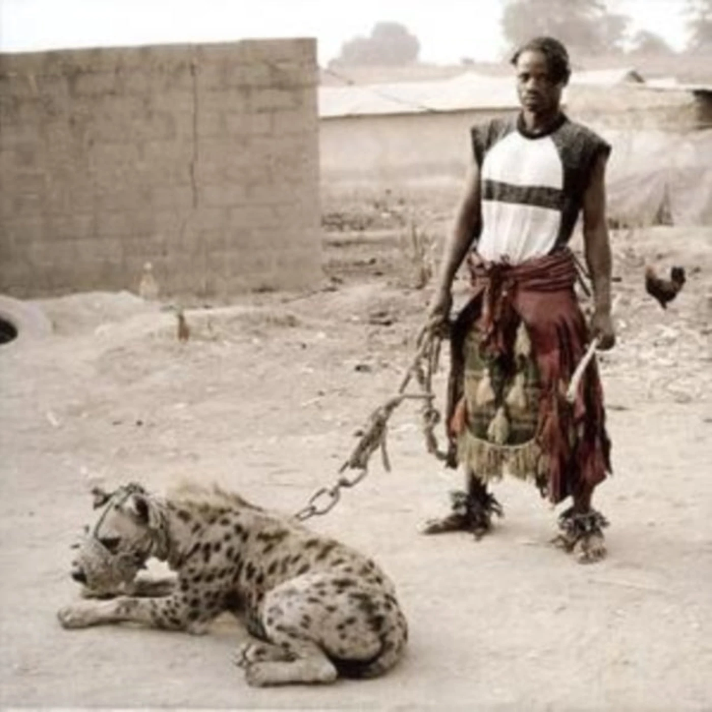 Various Artists CD - Lagos Shake: A Tony Allen Chop Up