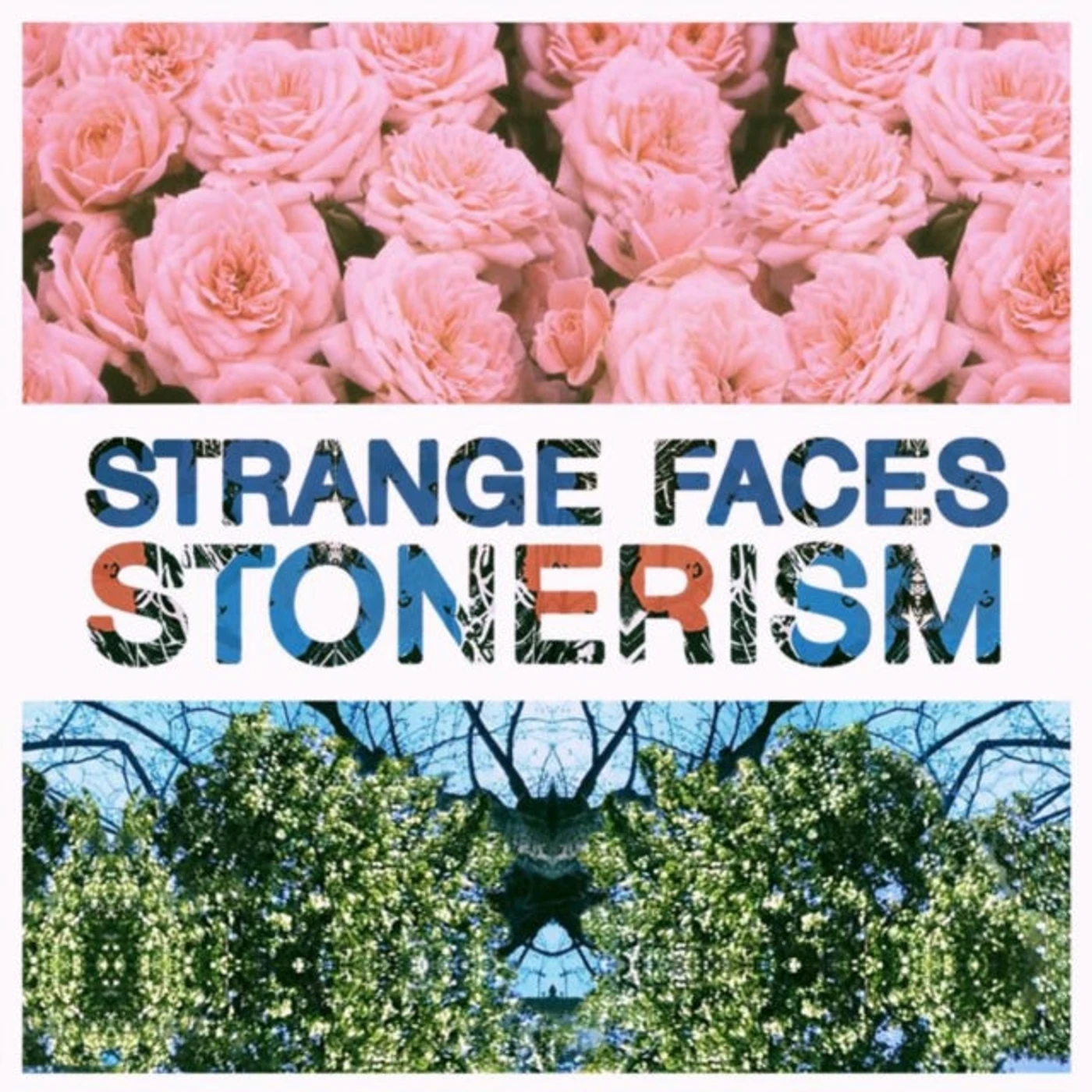 Strange Faces CD - Stonerism