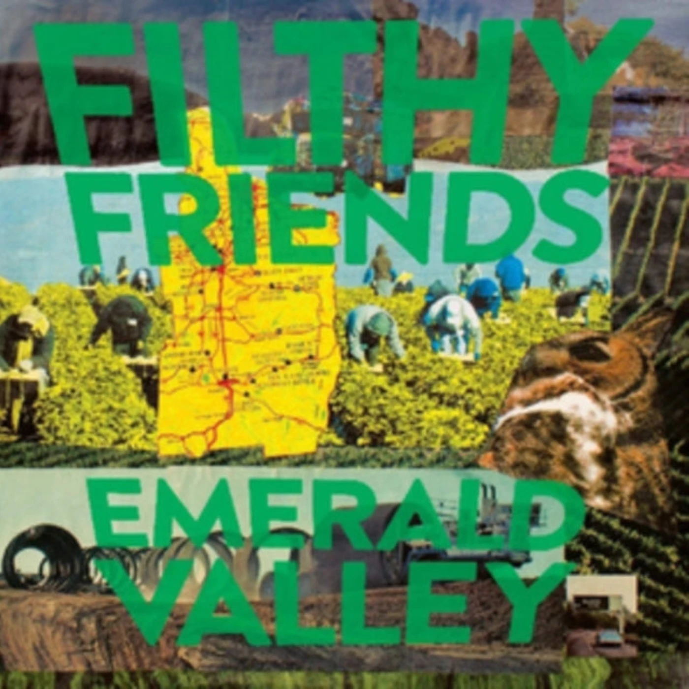 Filthy Friends CD - Emerald Valley