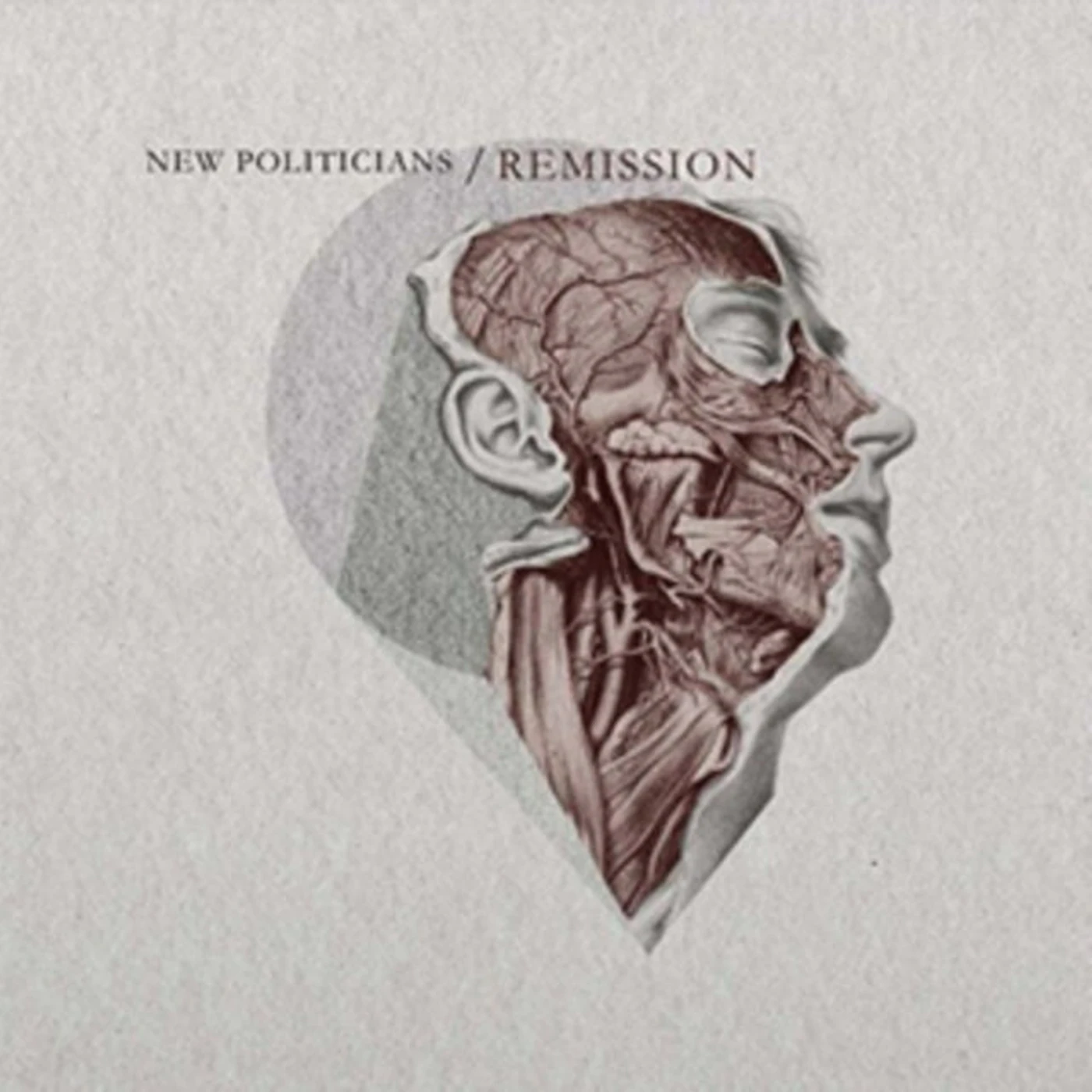 New Politicians CD - Remission