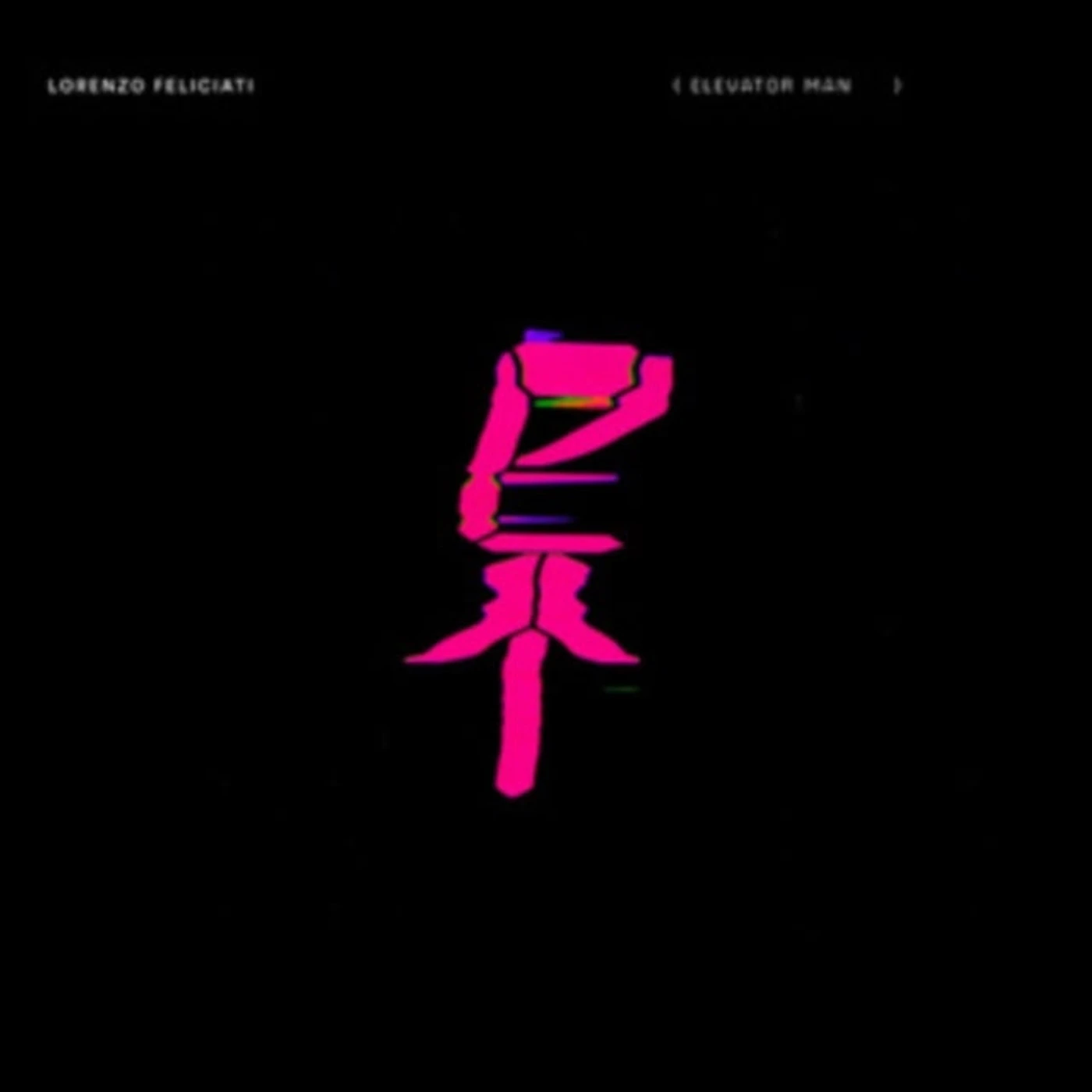 Lorenzo Feliciati CD - Elevator Man