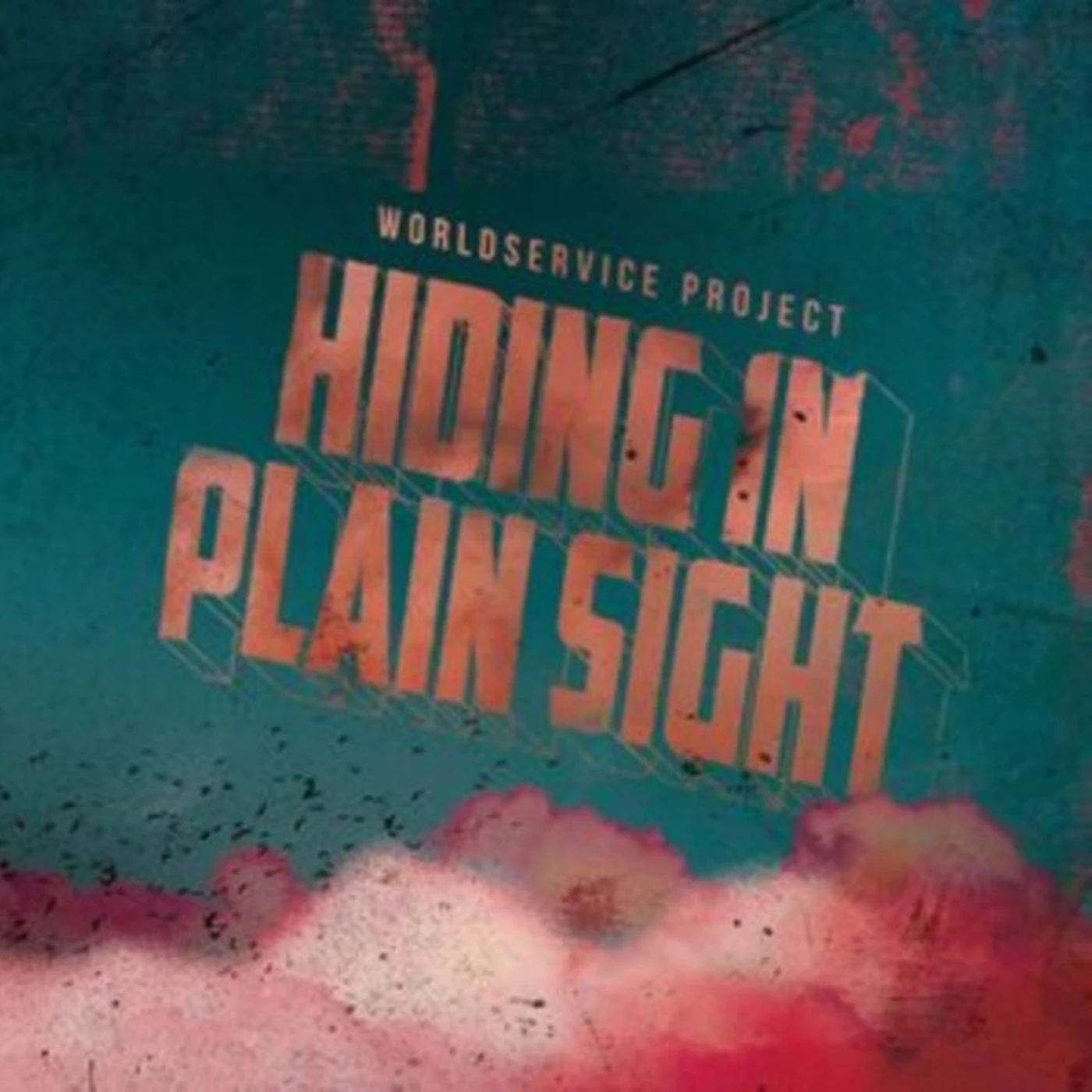 Worldservice Project CD - Hiding In Plain Sight