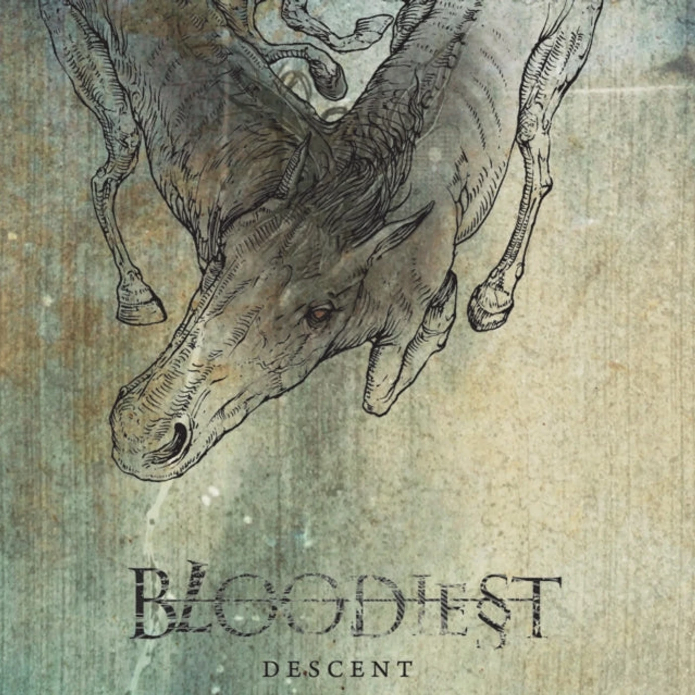 Bloodiest CD - Descent