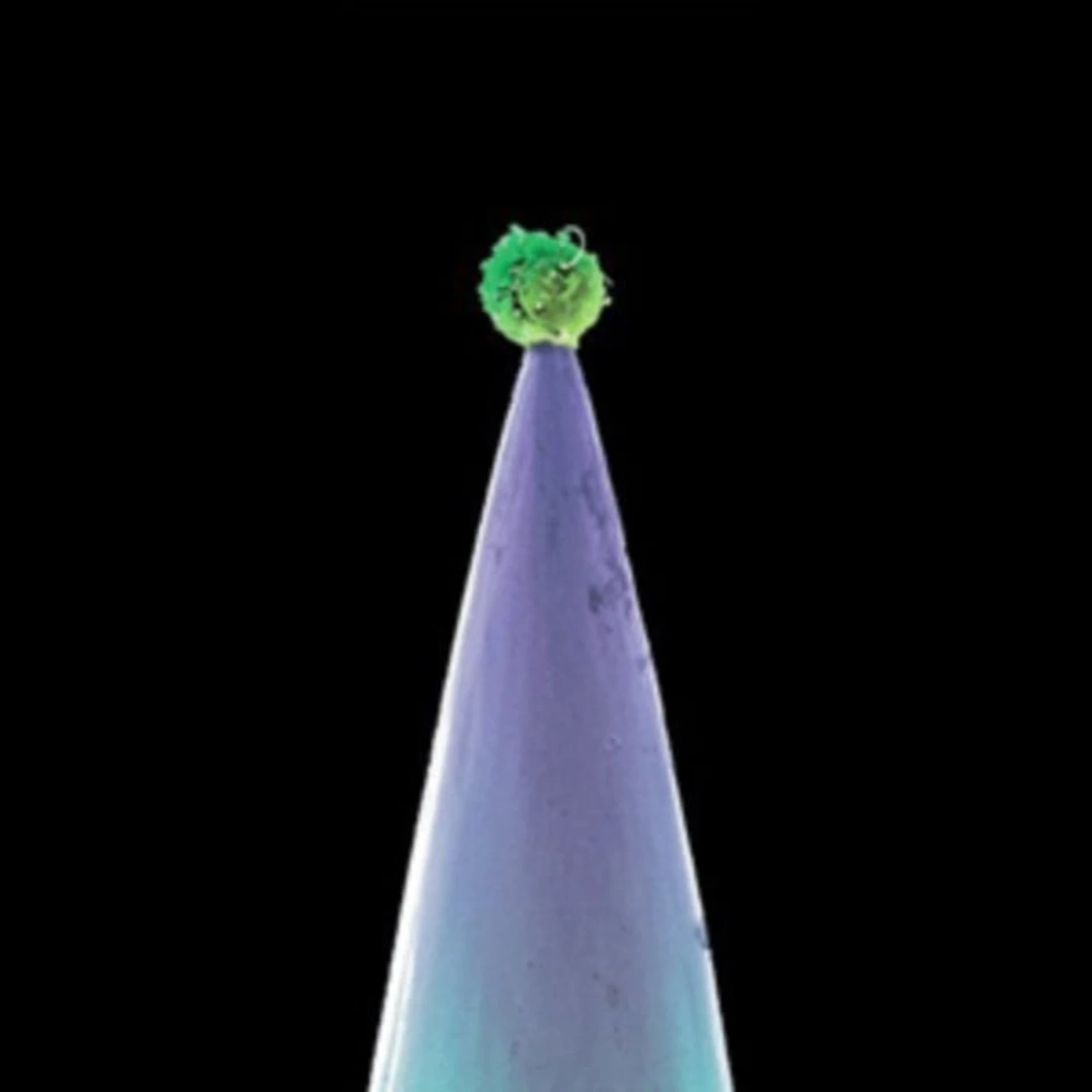 Peter Gabriel CD - New Blood