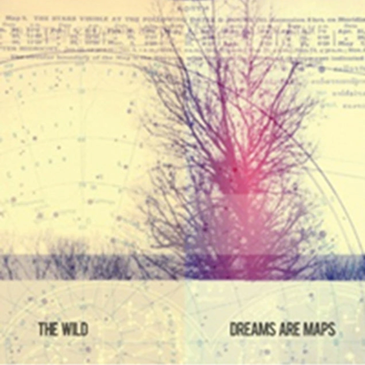 Wild CD - Dreams Are Maps