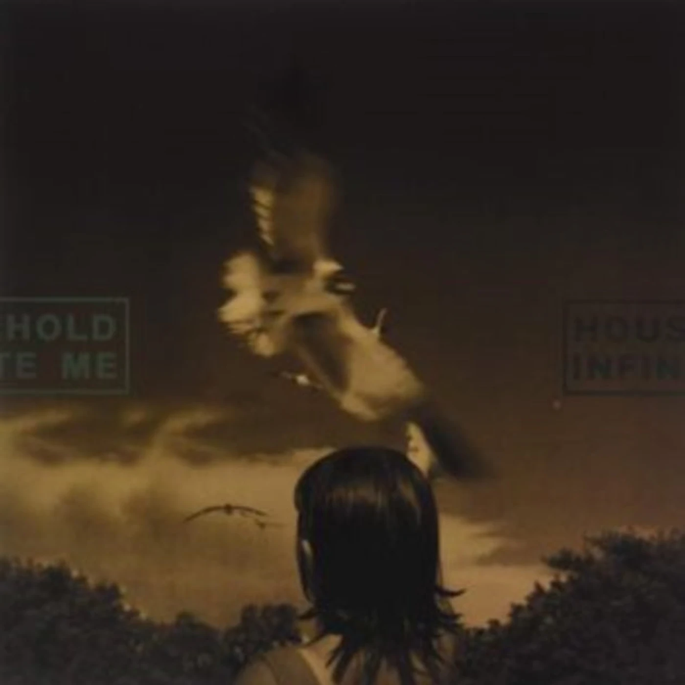 Household / Infinite Me LP - Split (Transparent Green Vinyl)