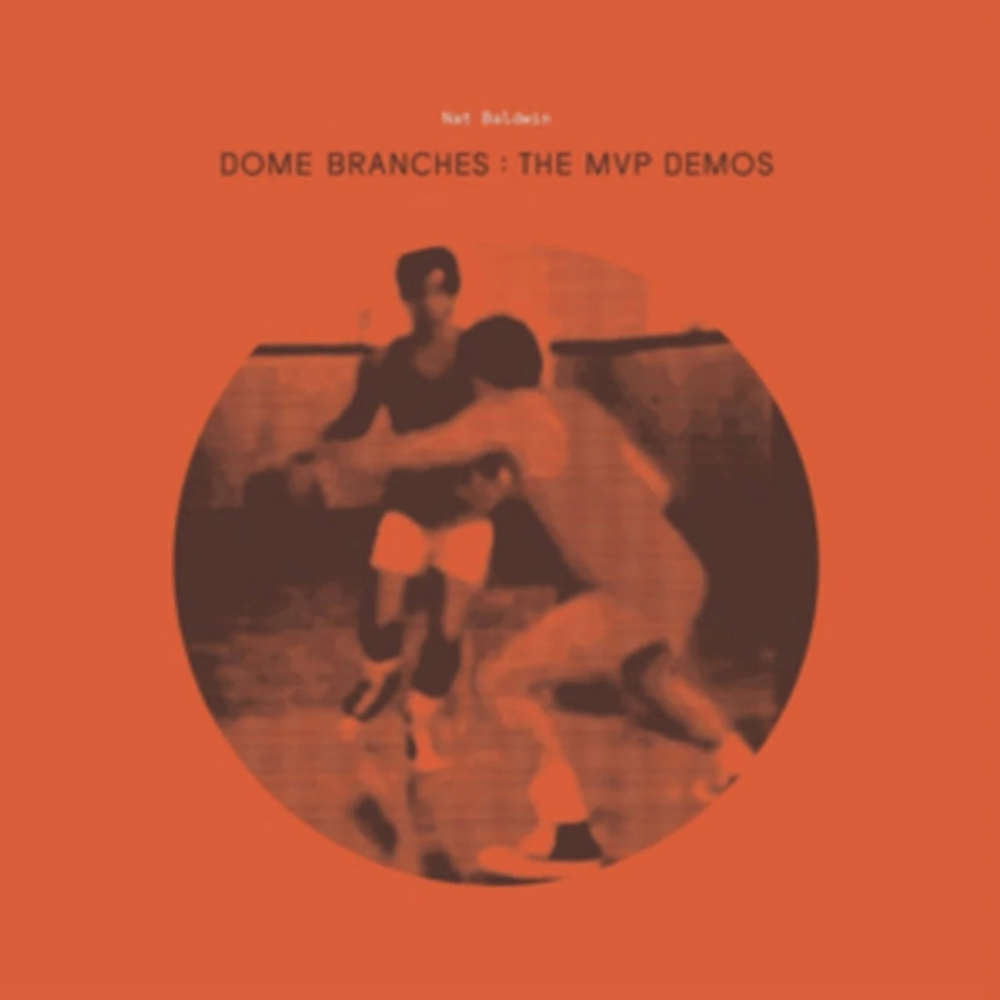 Nat Baldwin CD - Dome Branches The Mvp Demos