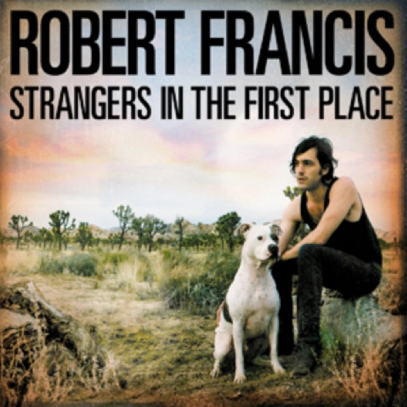 Robert Francis CD - Strangers In The First Place