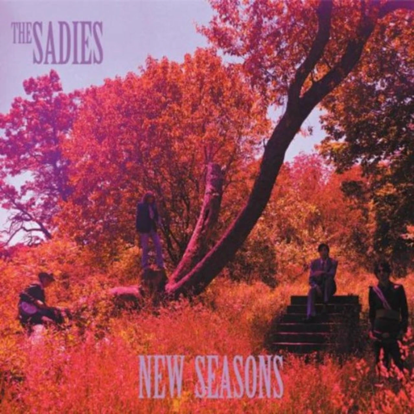 The Sadies CD - New Seasons
