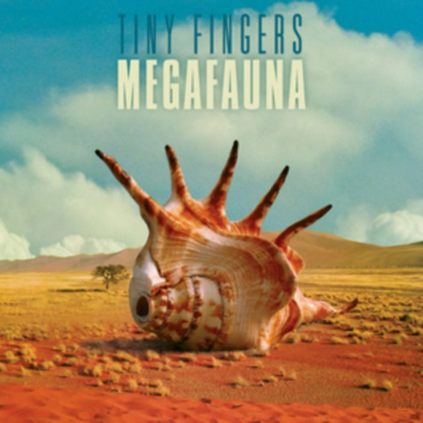 Tiny Fingers CD - Megafauna