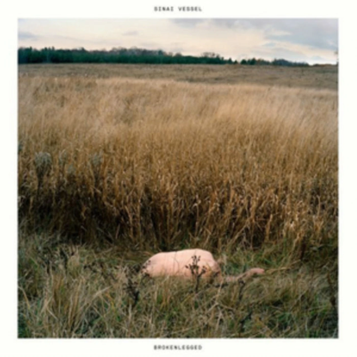 Sinai Vessel CD - Brokenlegged
