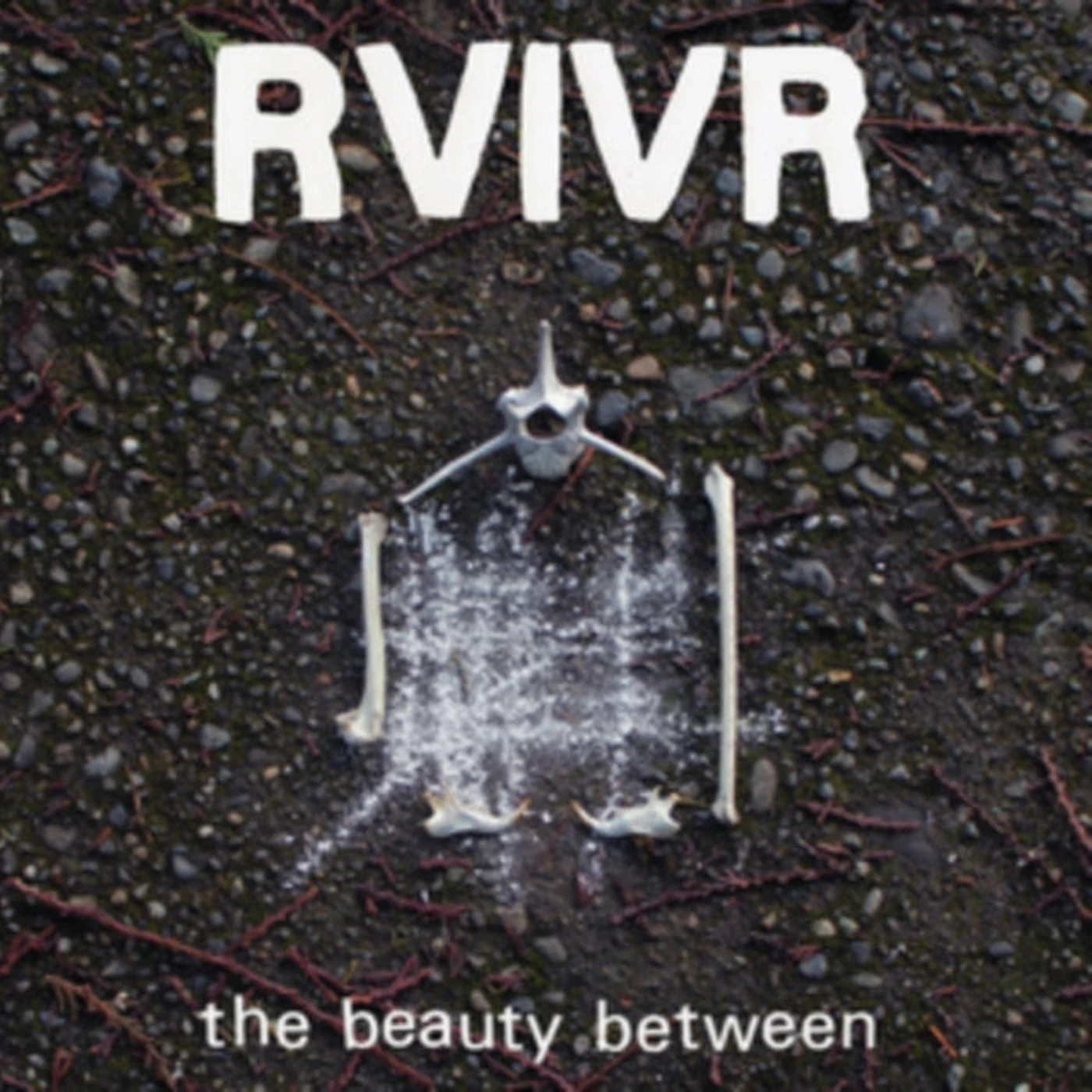 Rvivr CD - The Joester Sessions 08-11