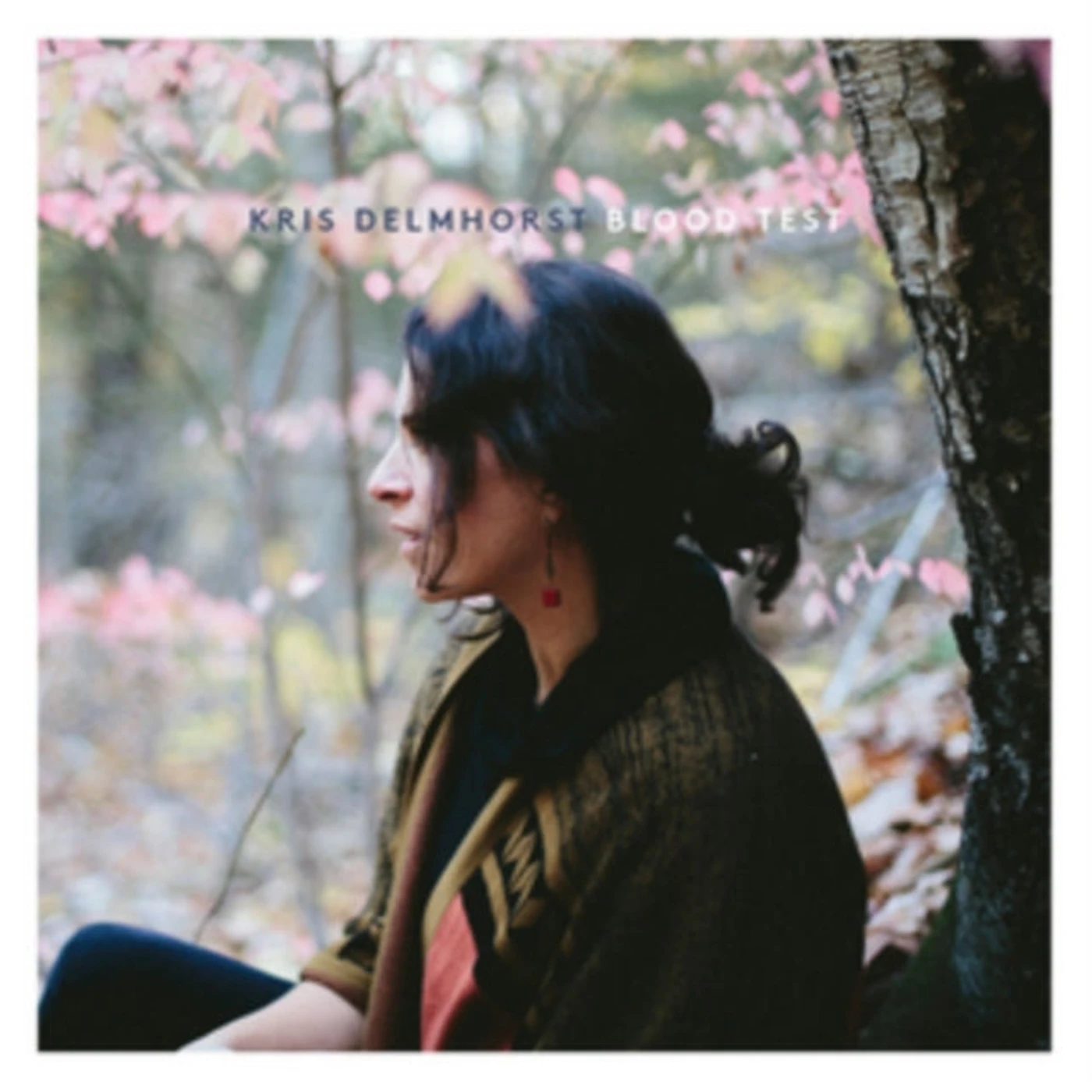Kris Delmhorst CD - Blood Test