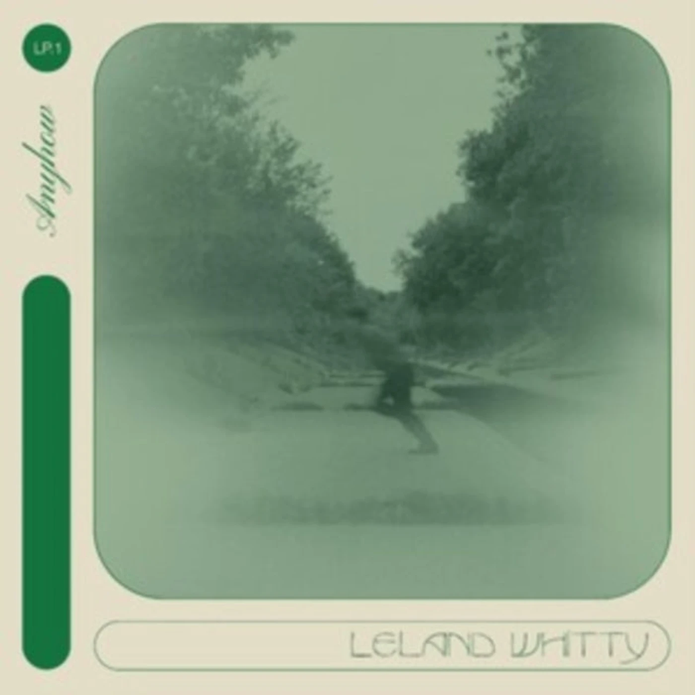 Leland Whitty CD - Anyhow