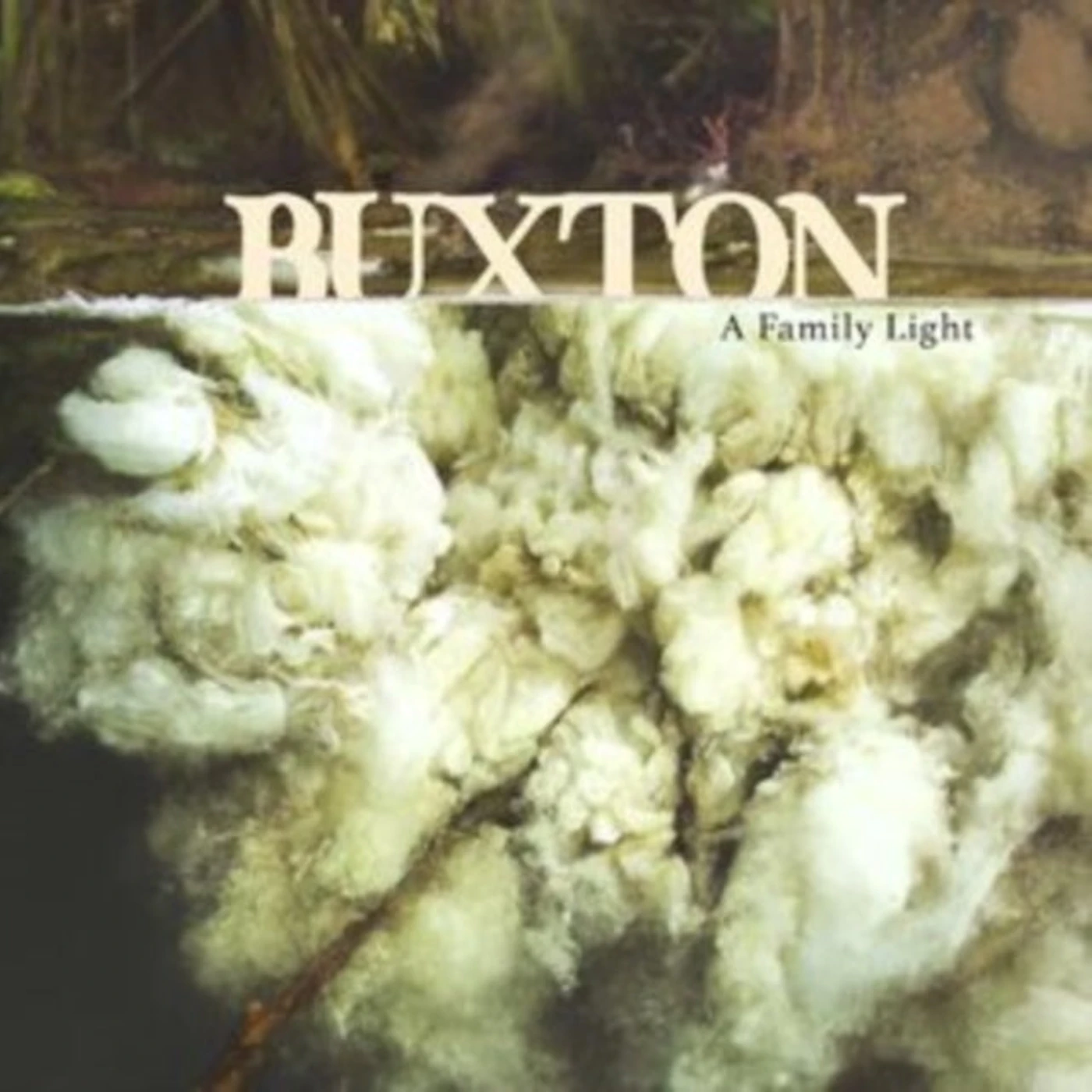 Buxton CD - A Family Light