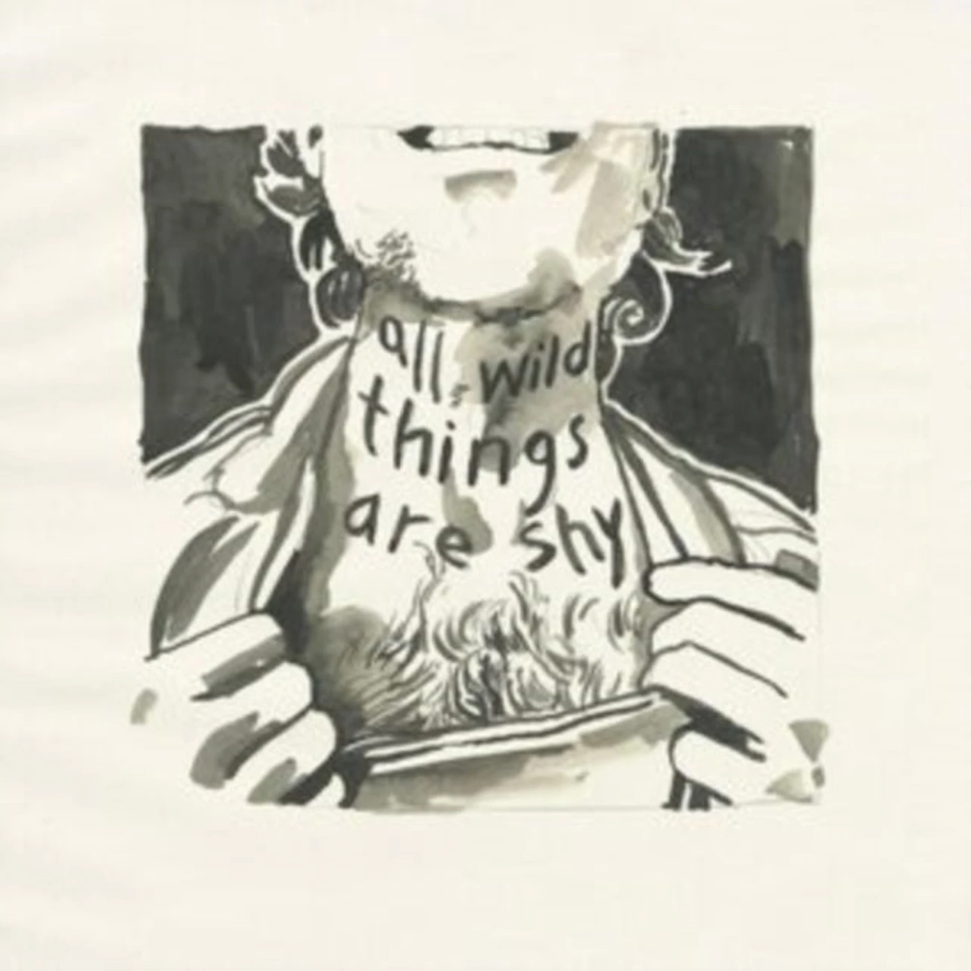 Richard Laviolette CD - All Wild Things Are Shy